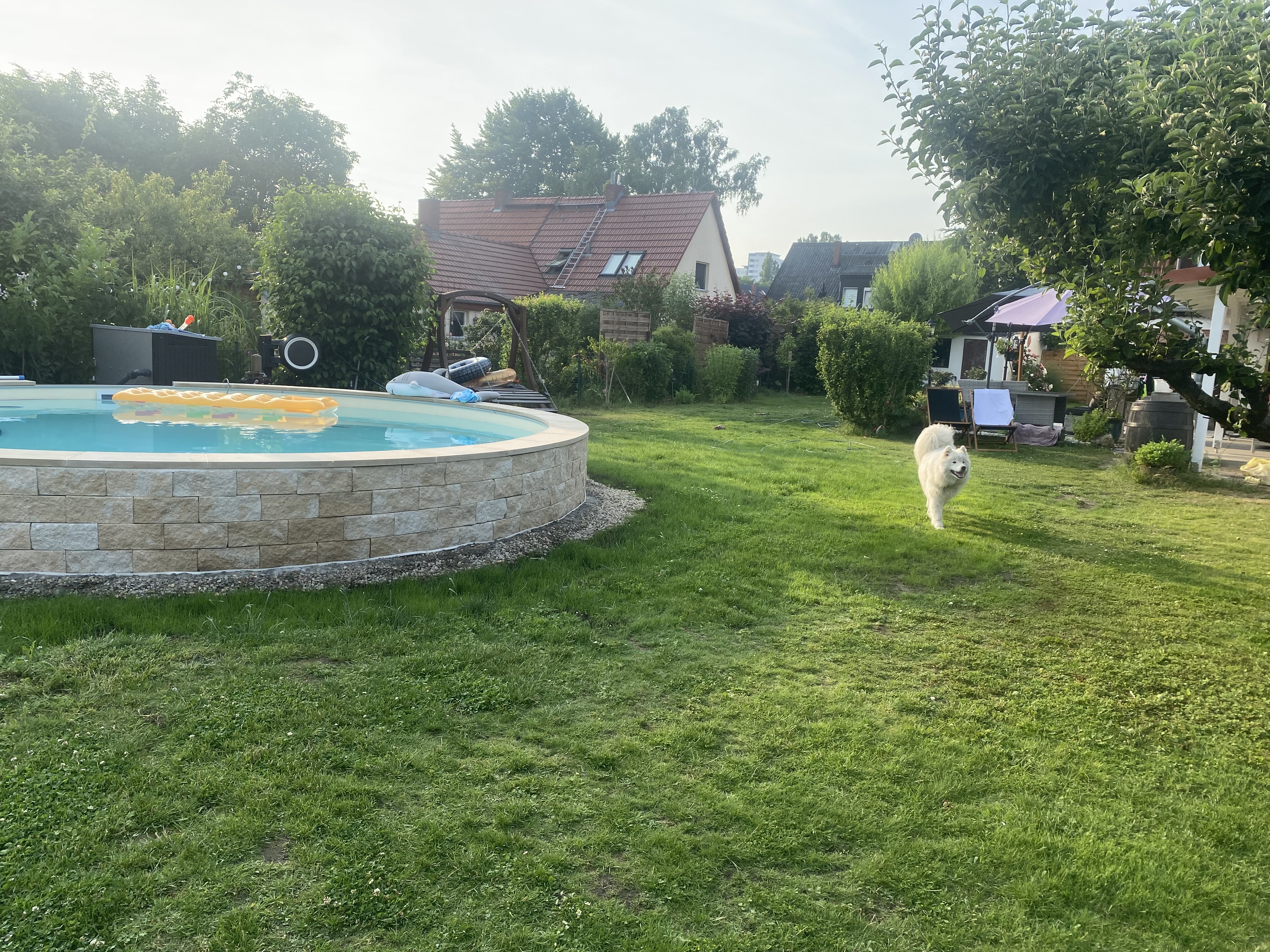 image-22