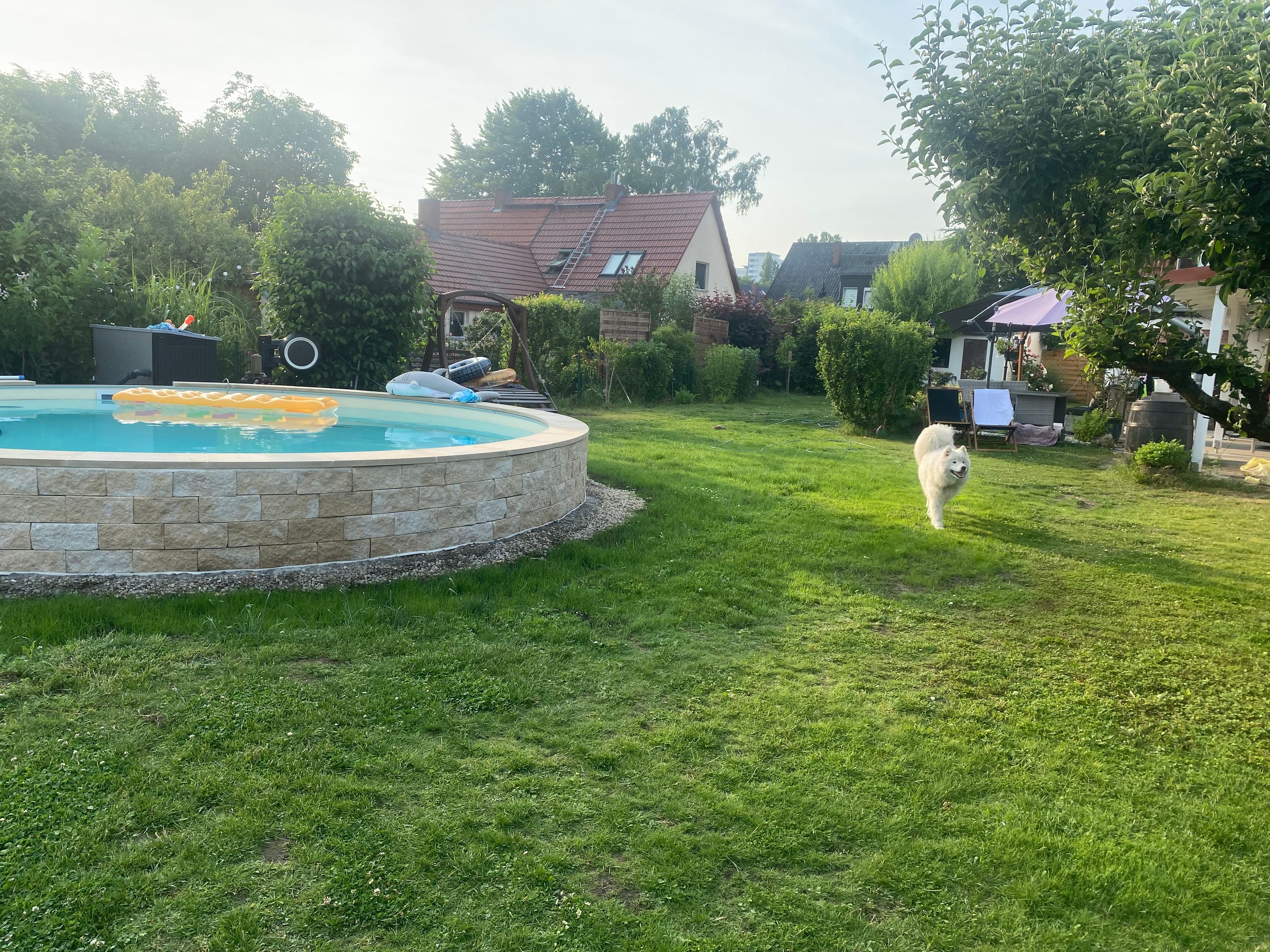 image-22