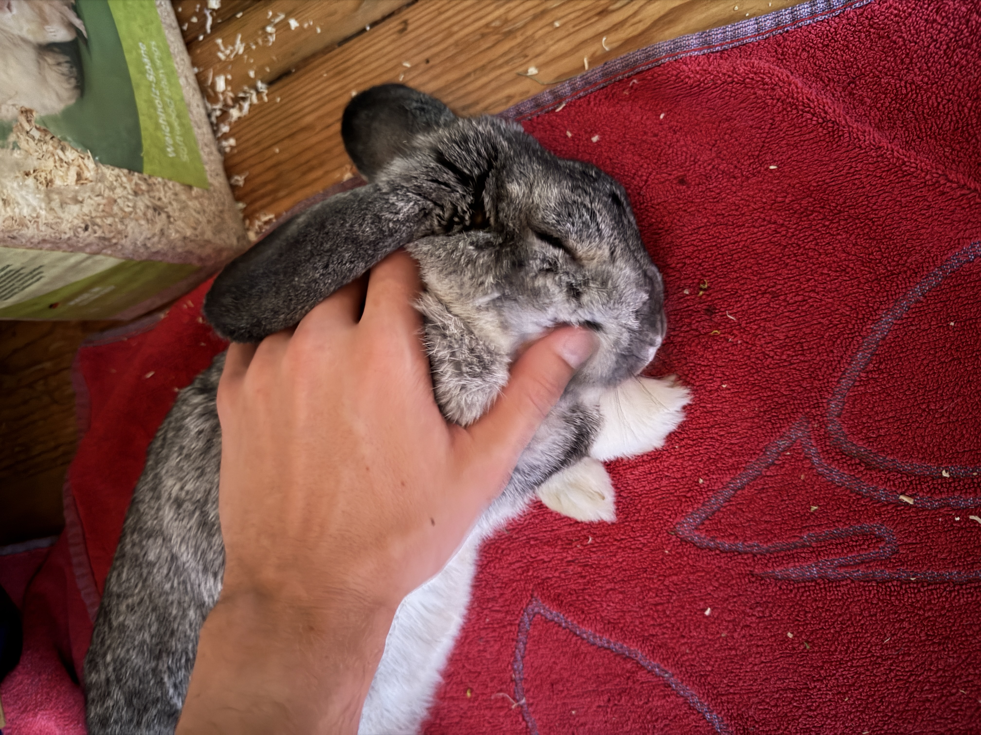 image-7