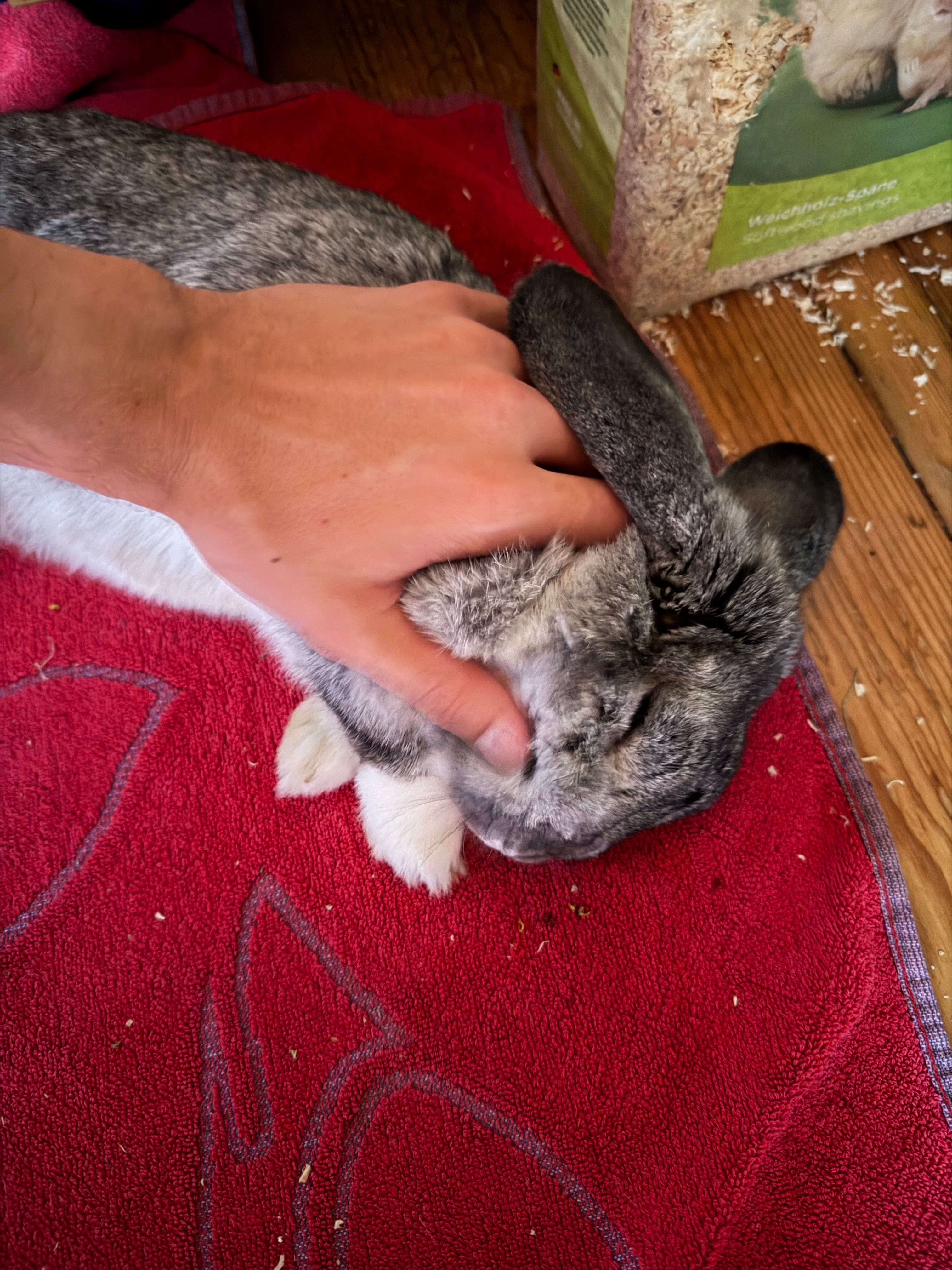 image-7