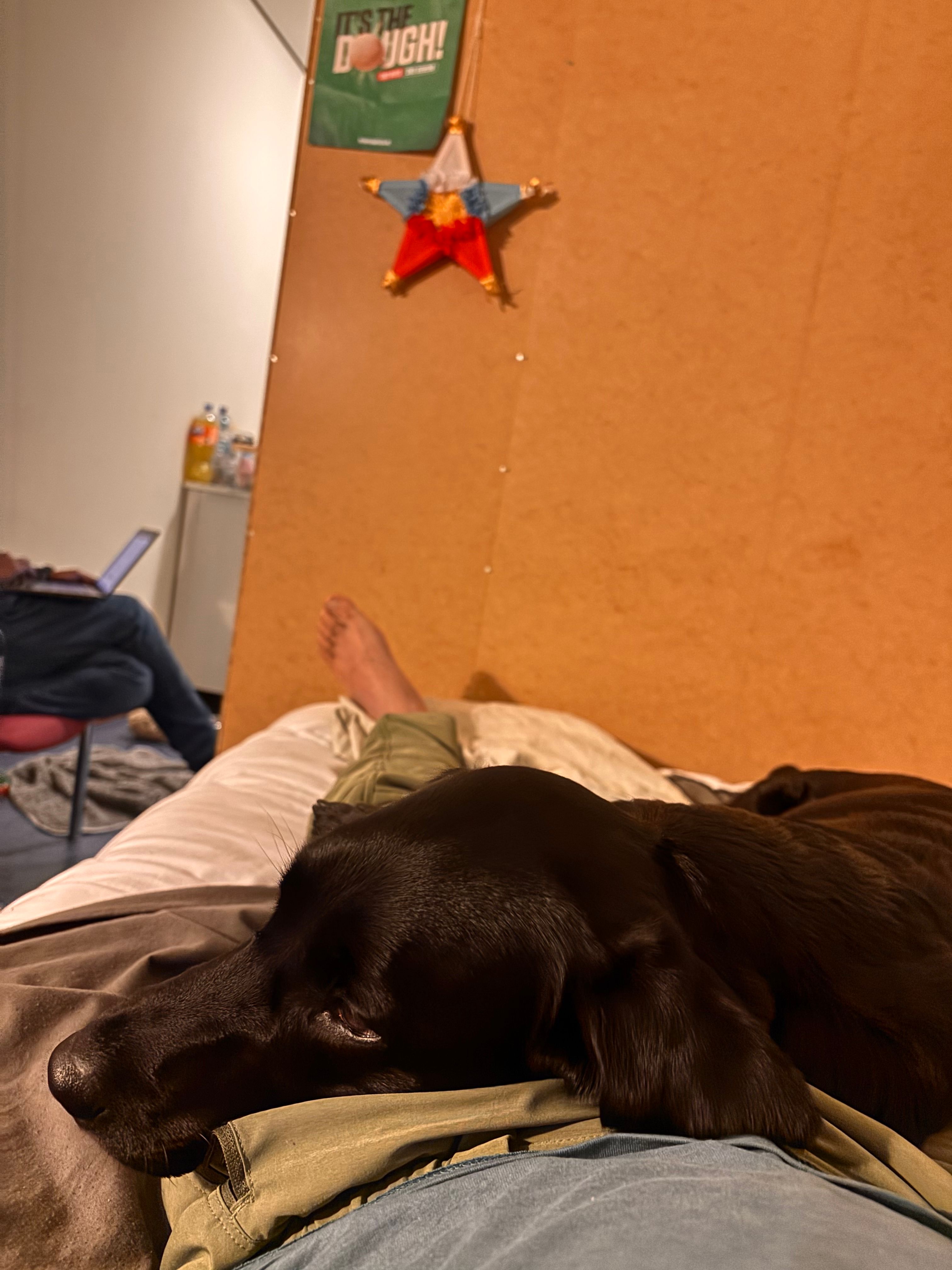 image-8