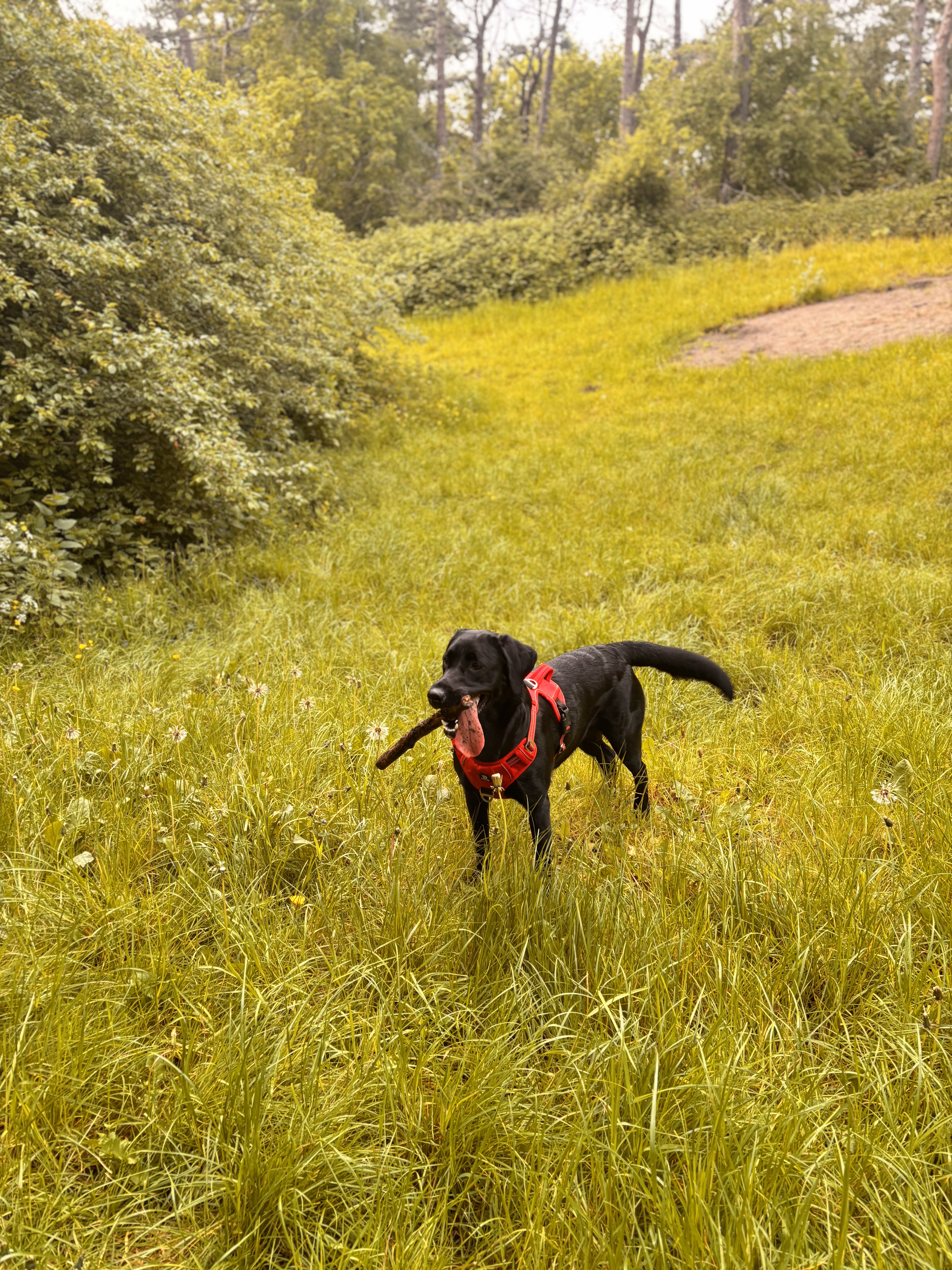 image-9
