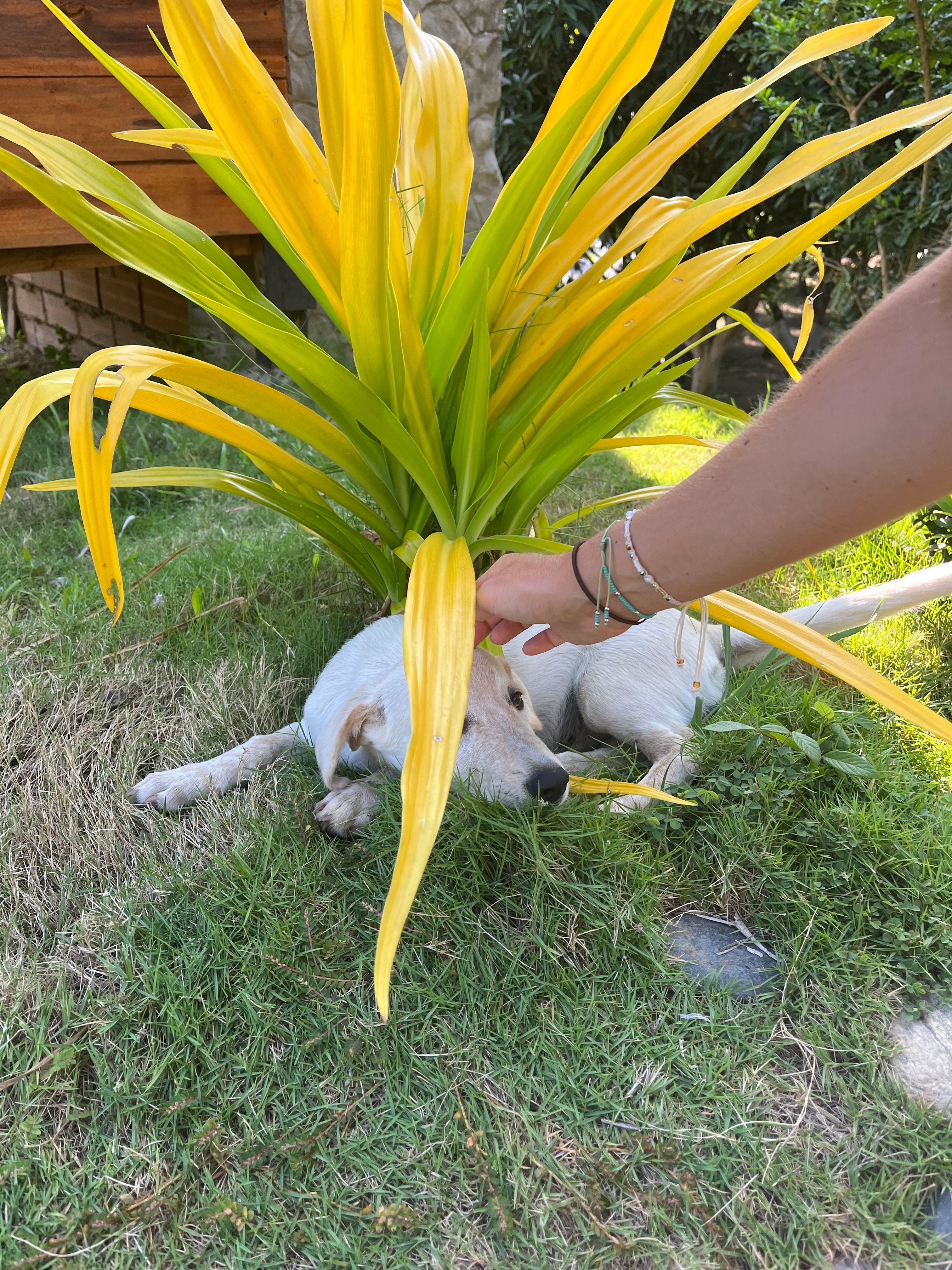 image-12