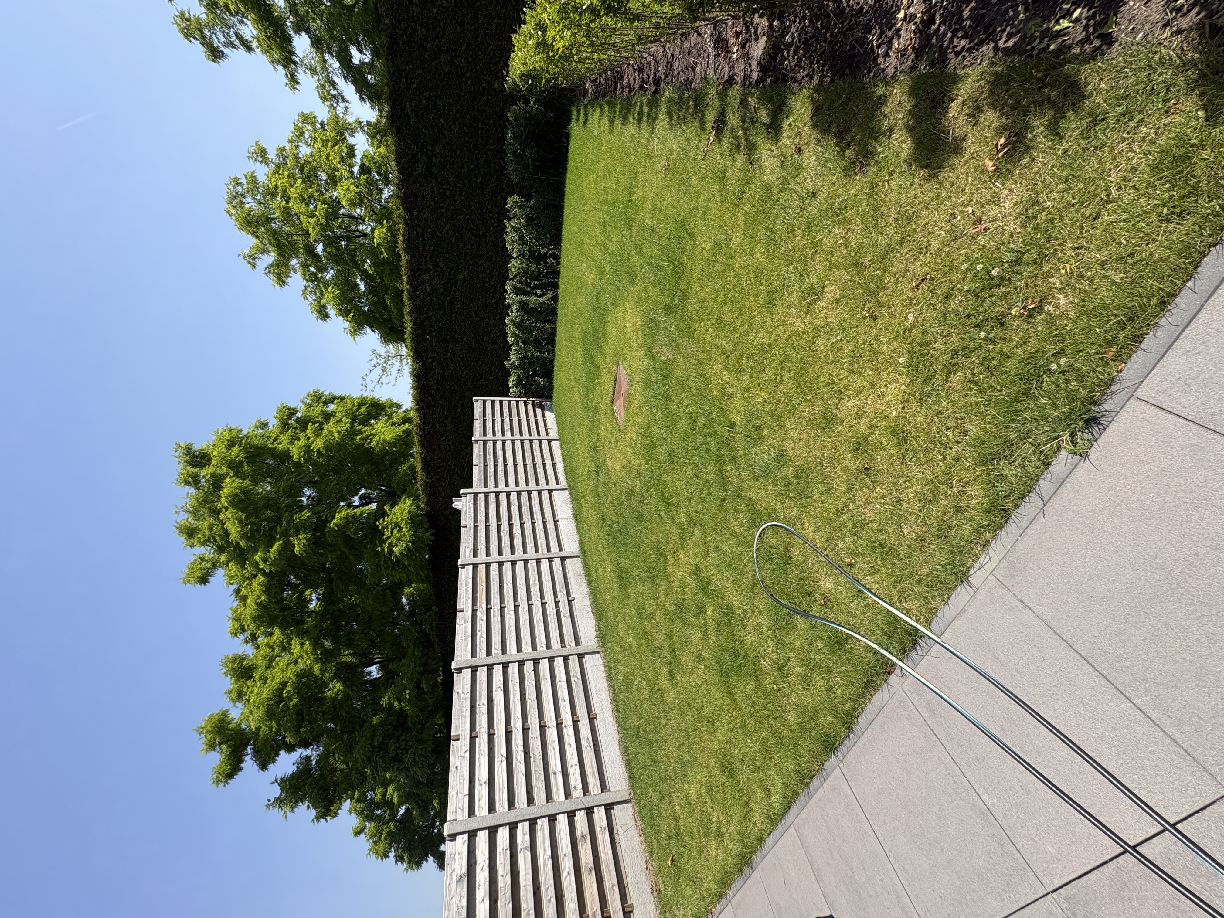 image-20