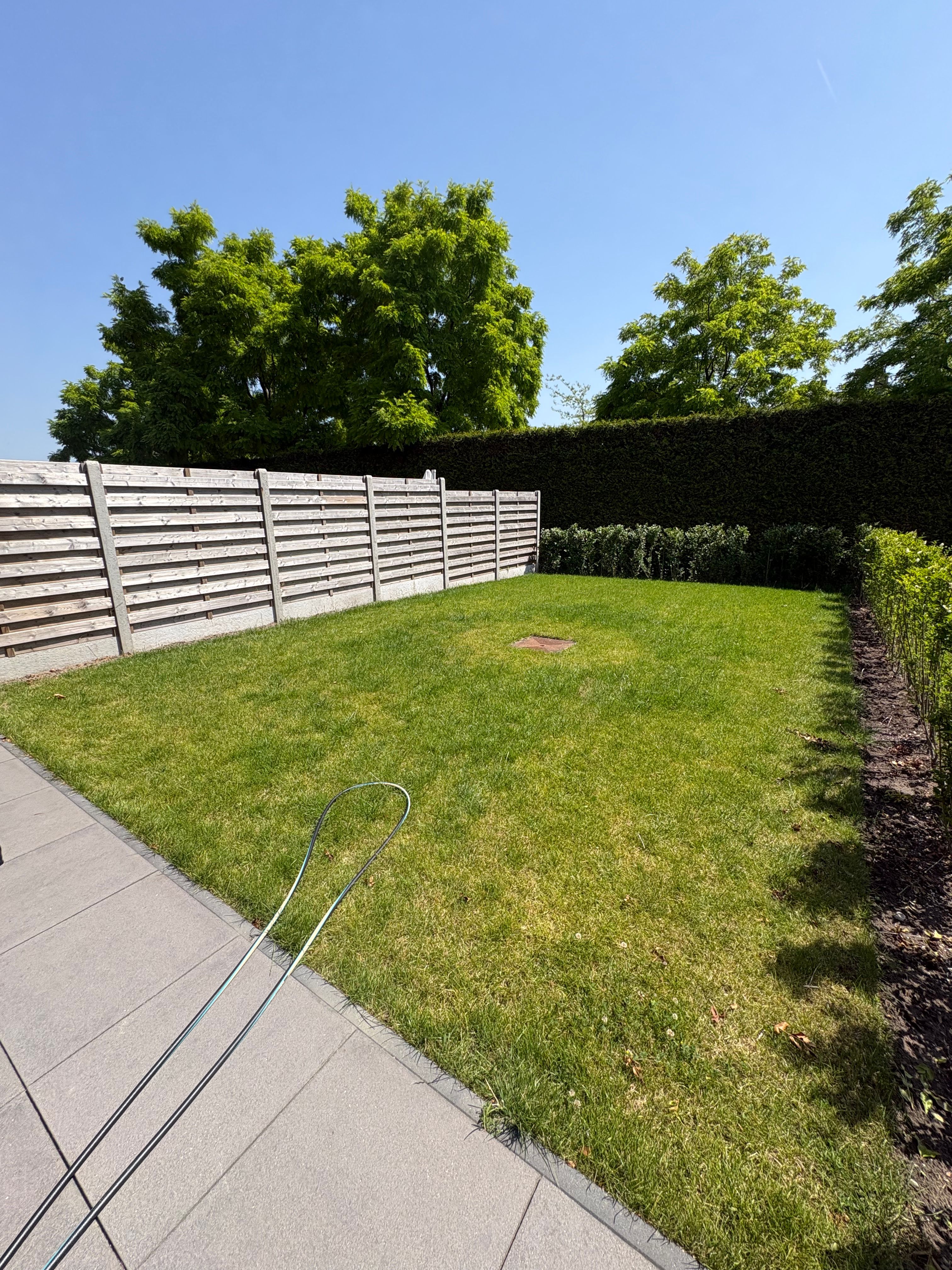 image-20