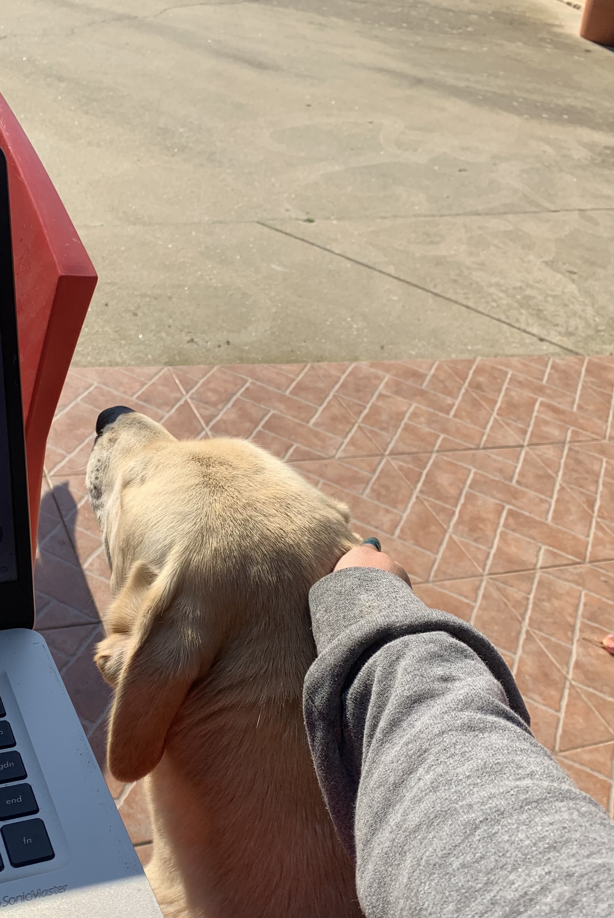 image-9