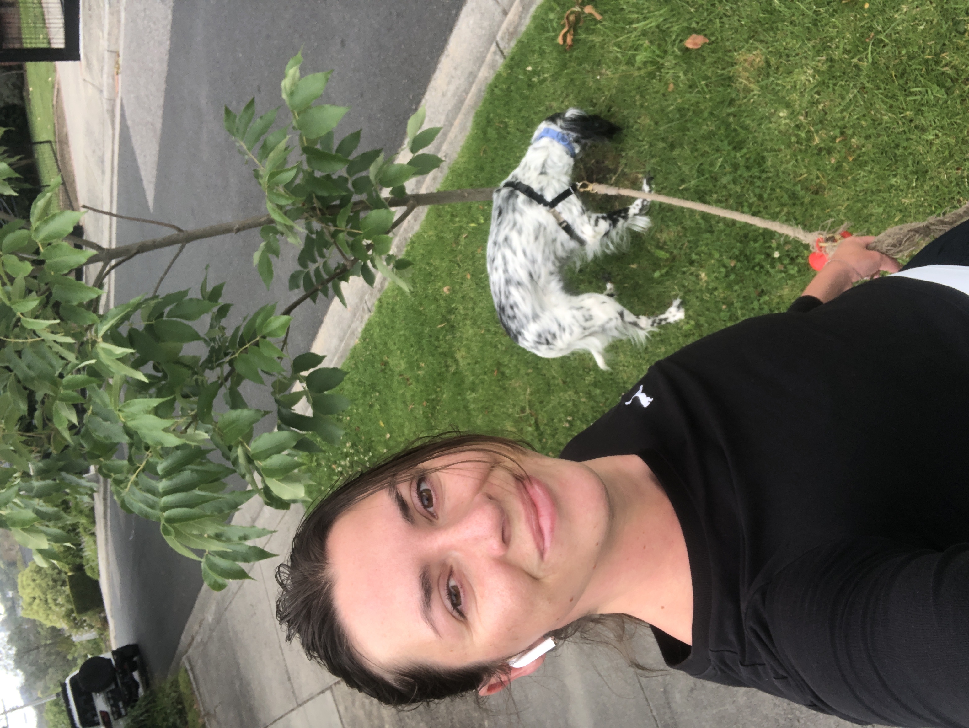 image-6