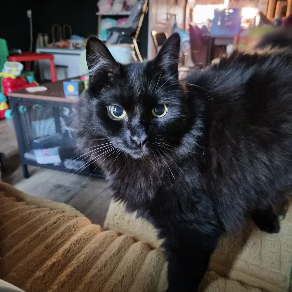Lucifer