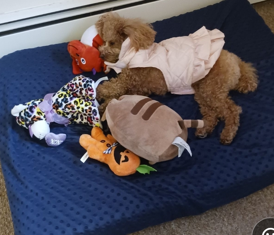 image-6