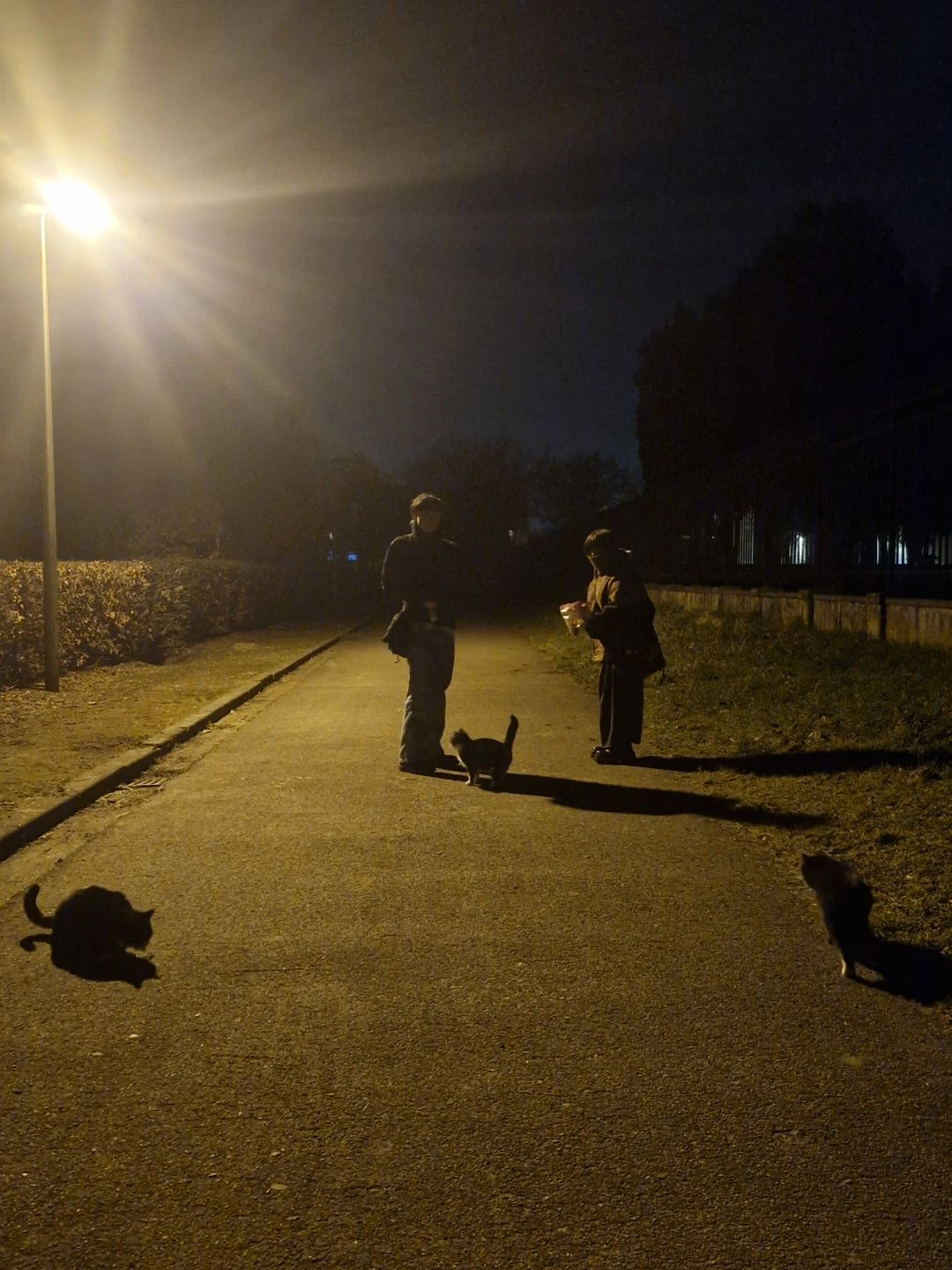 image-9