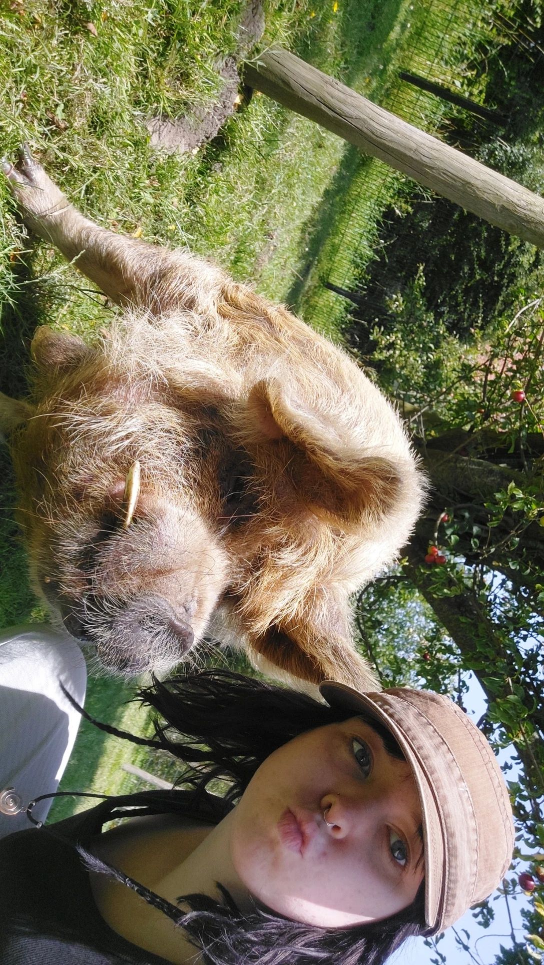 image-7