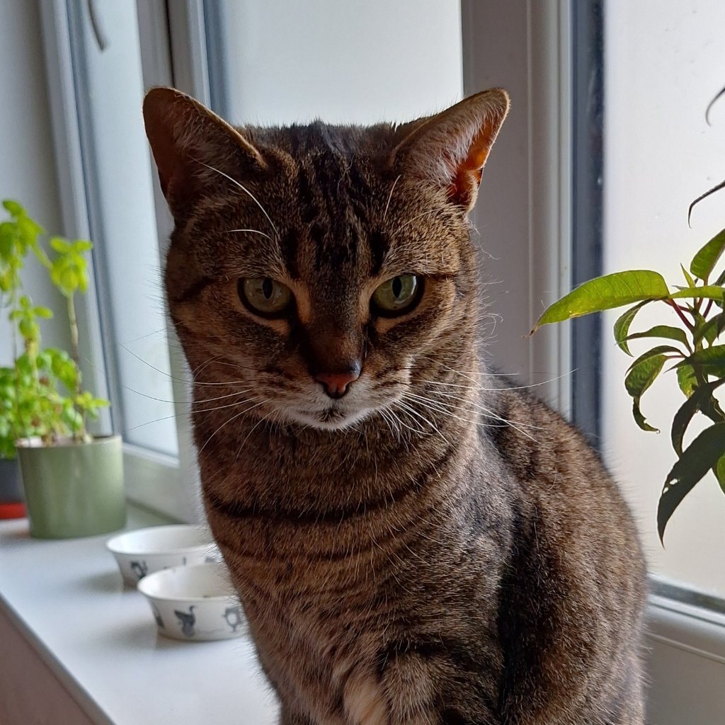 Lola