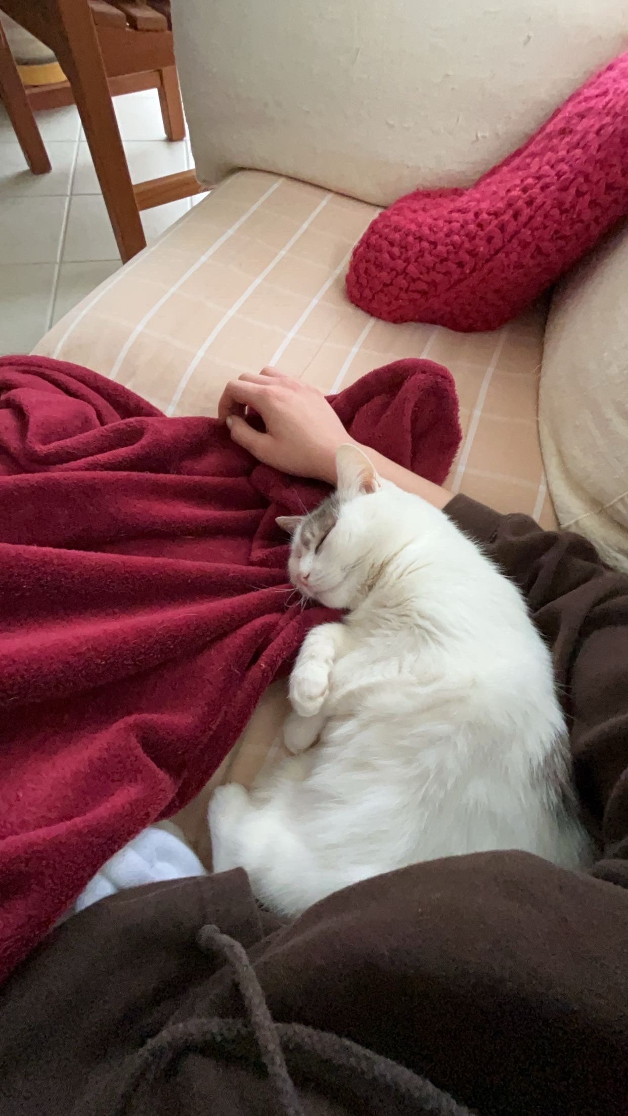 image-11