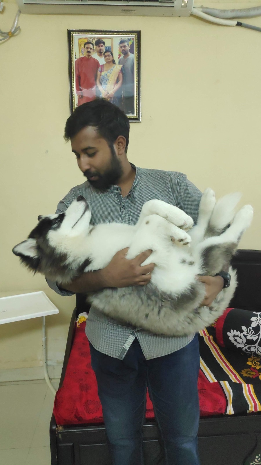 image-5