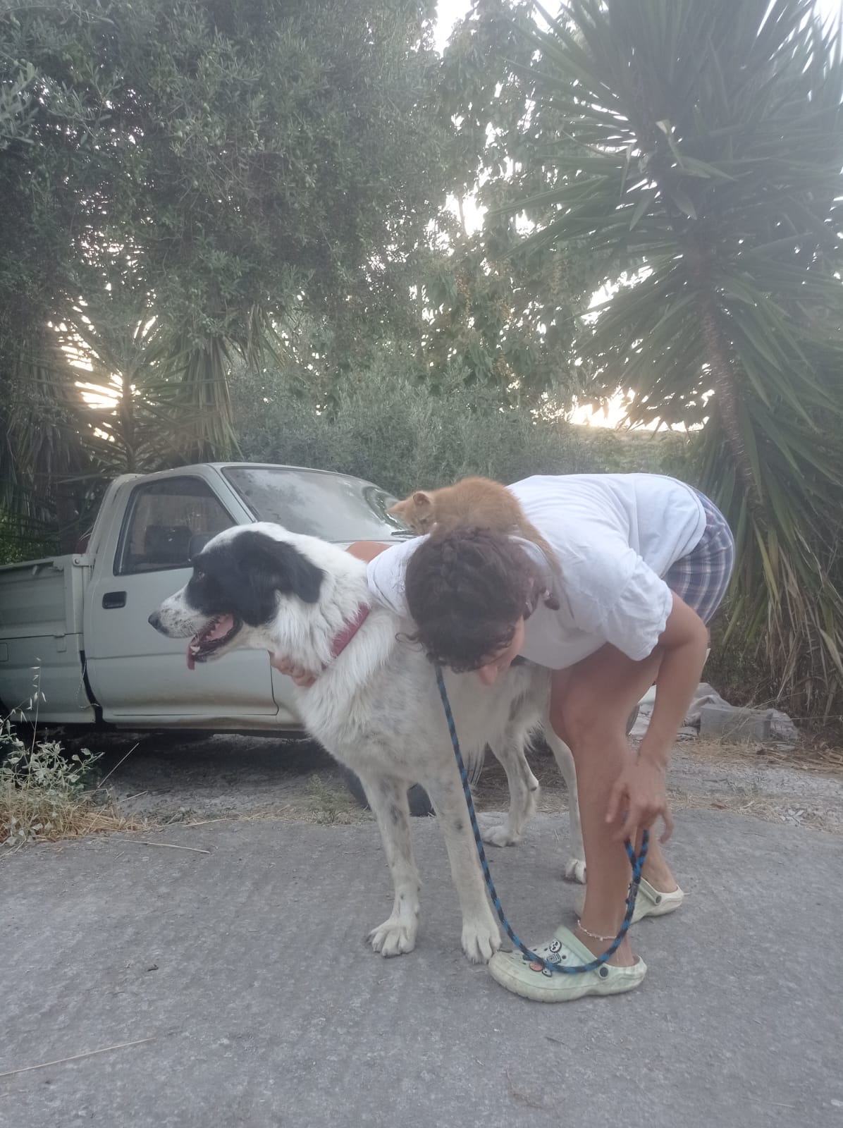 image-7