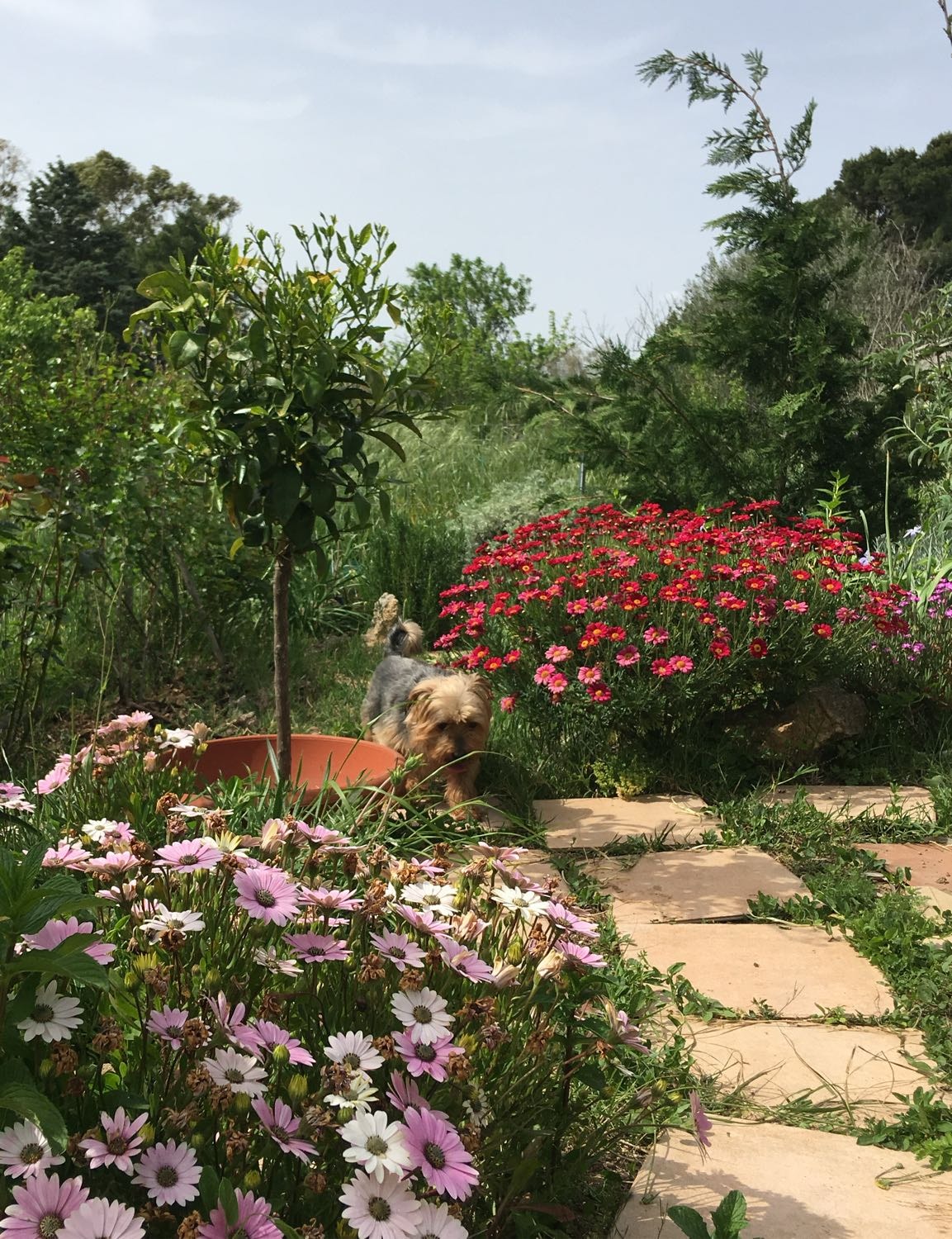 image-9
