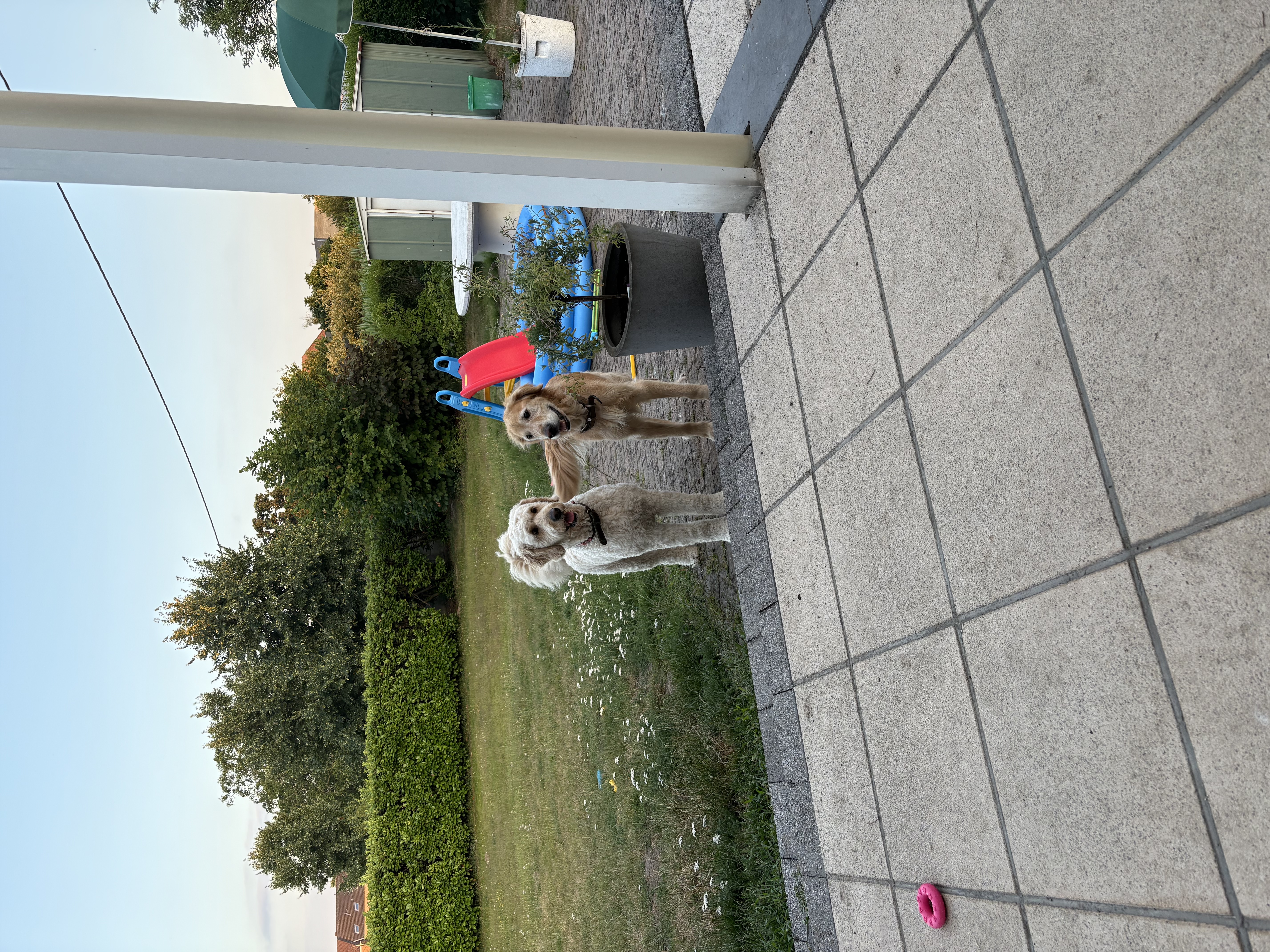 image-3