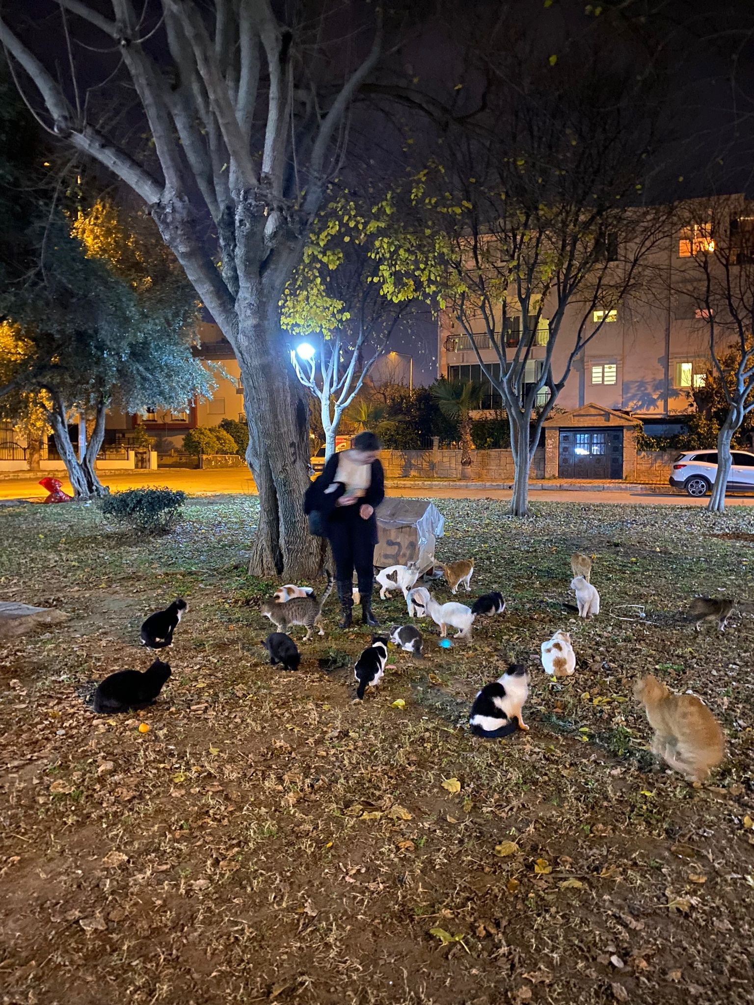 image-5