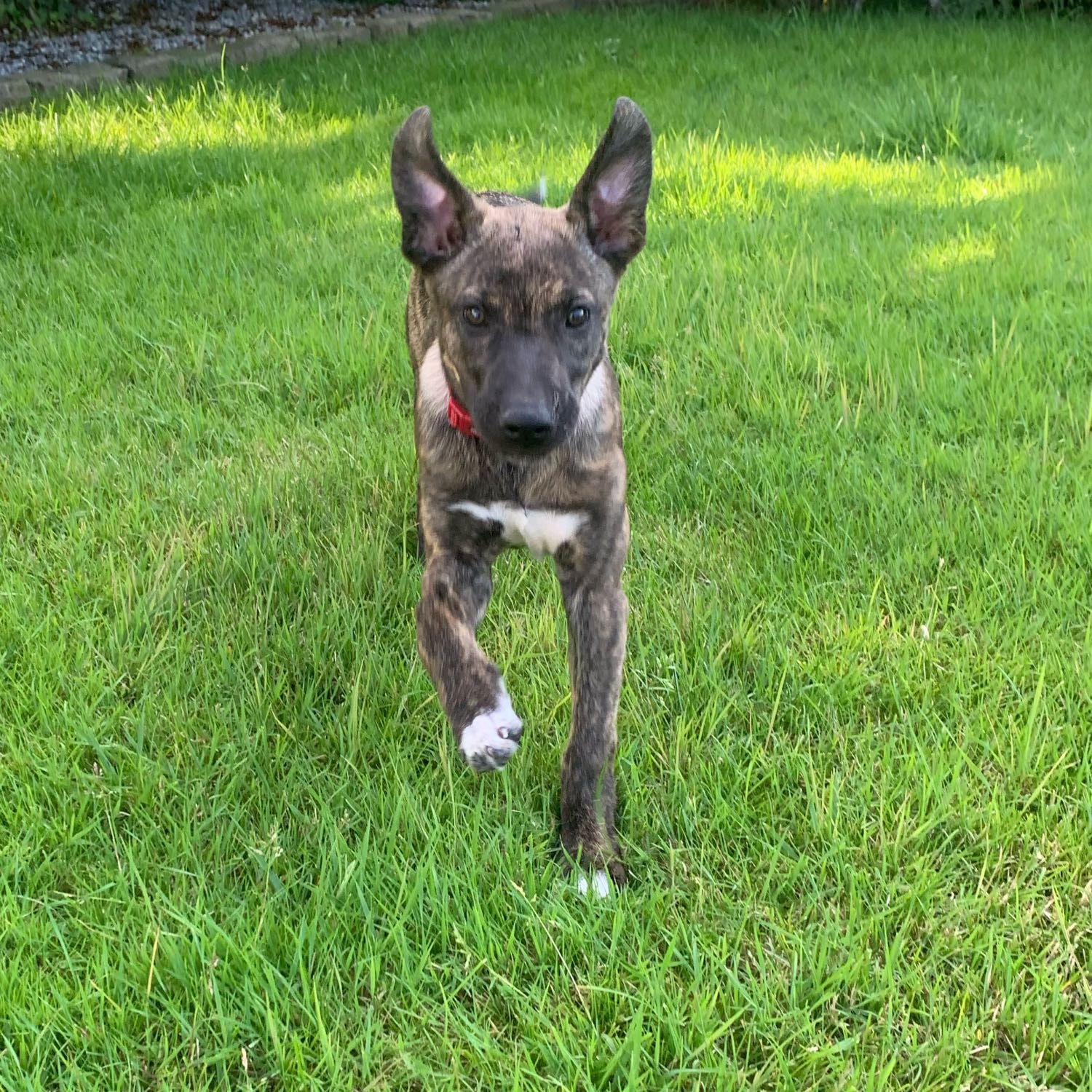 Nora