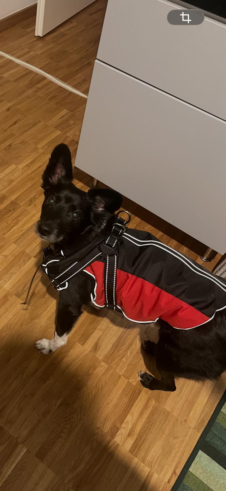image-12