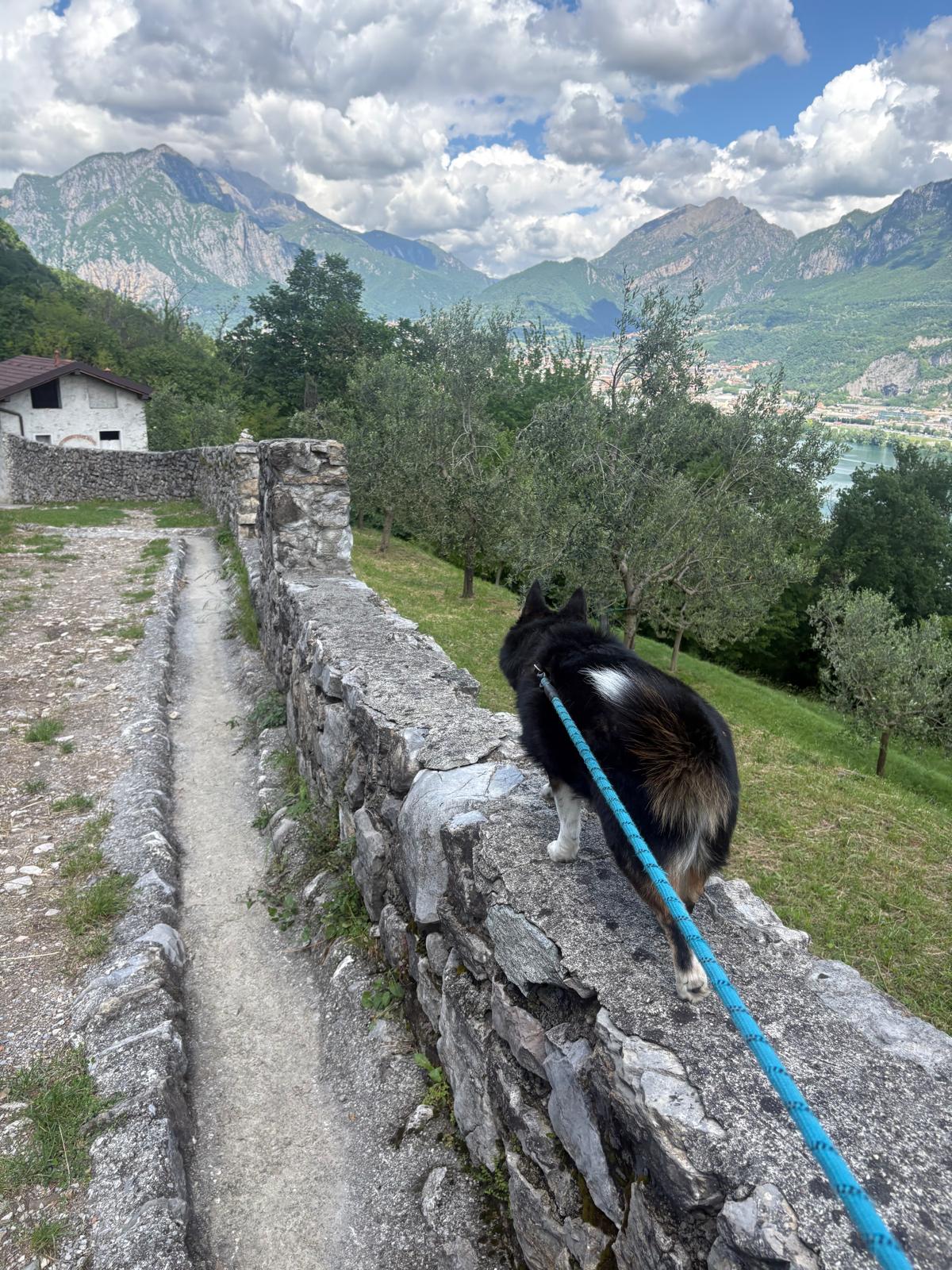 image-9