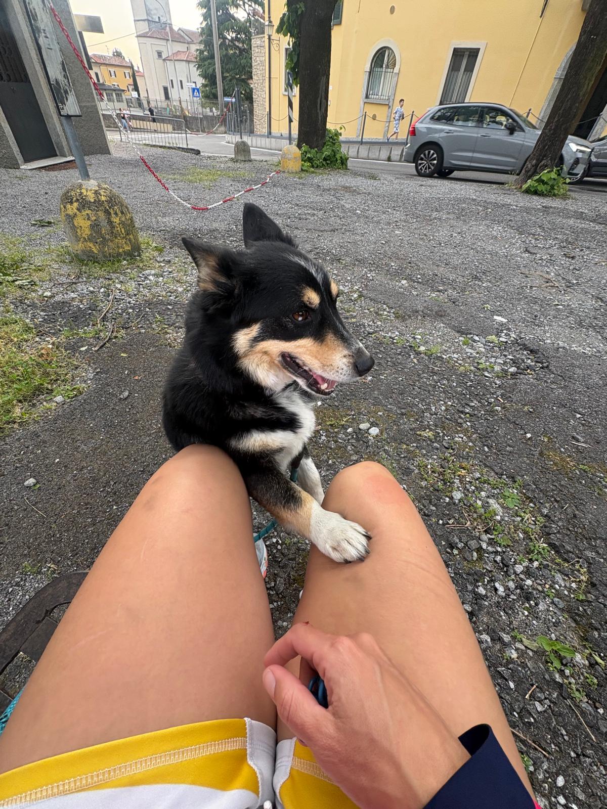 image-13