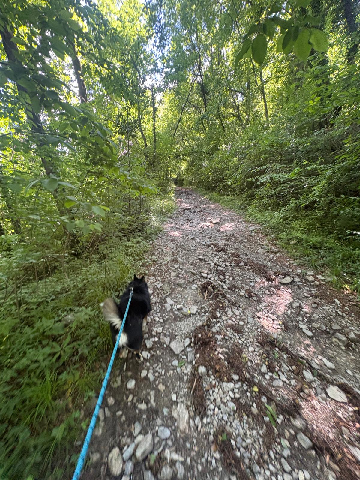 image-5