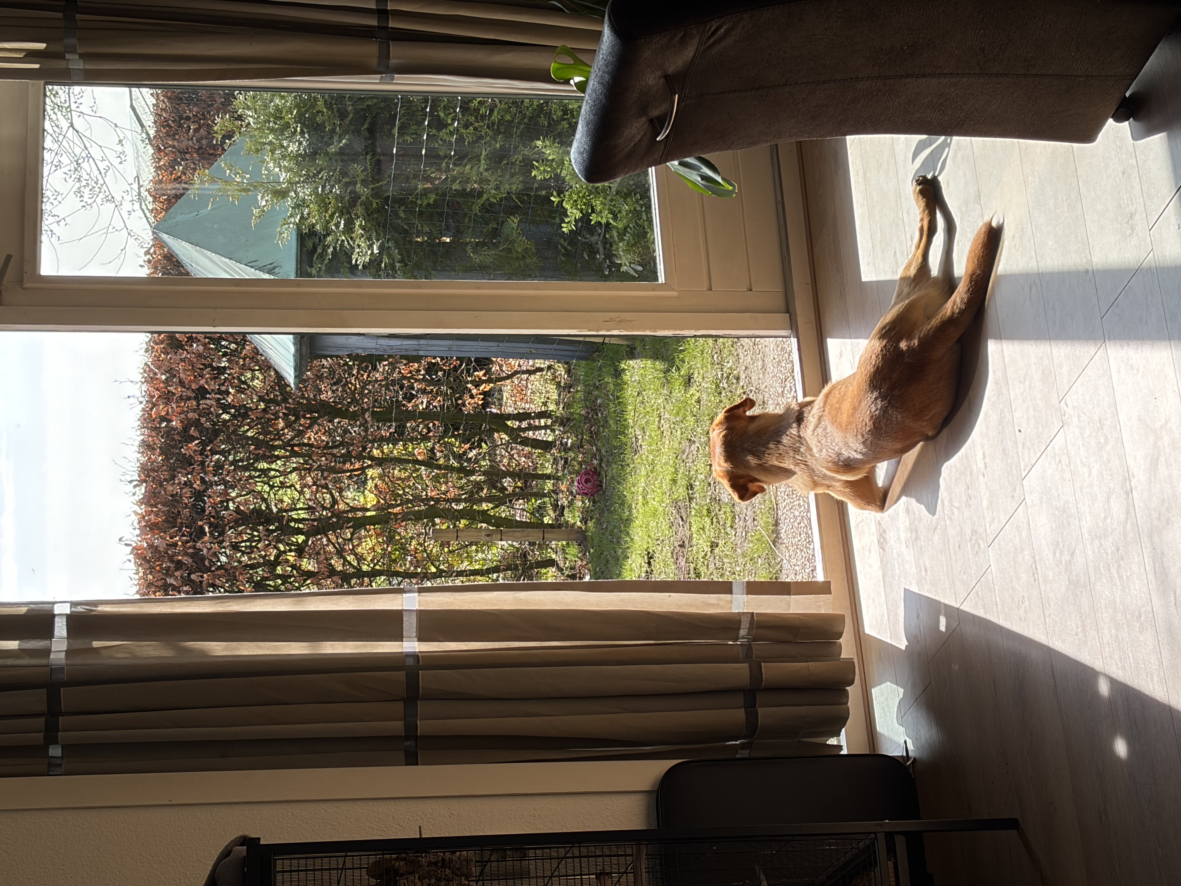 image-13