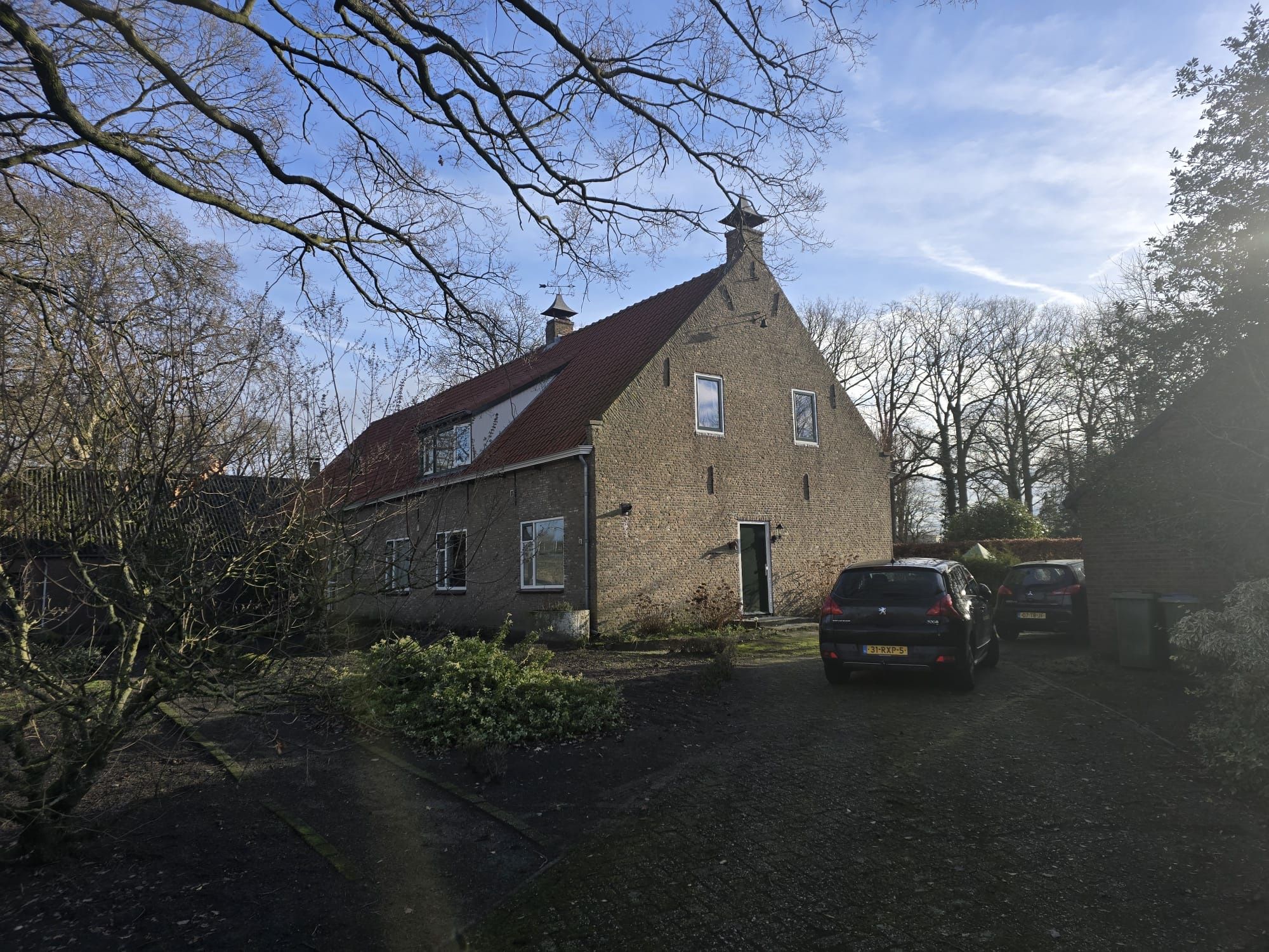 image-11