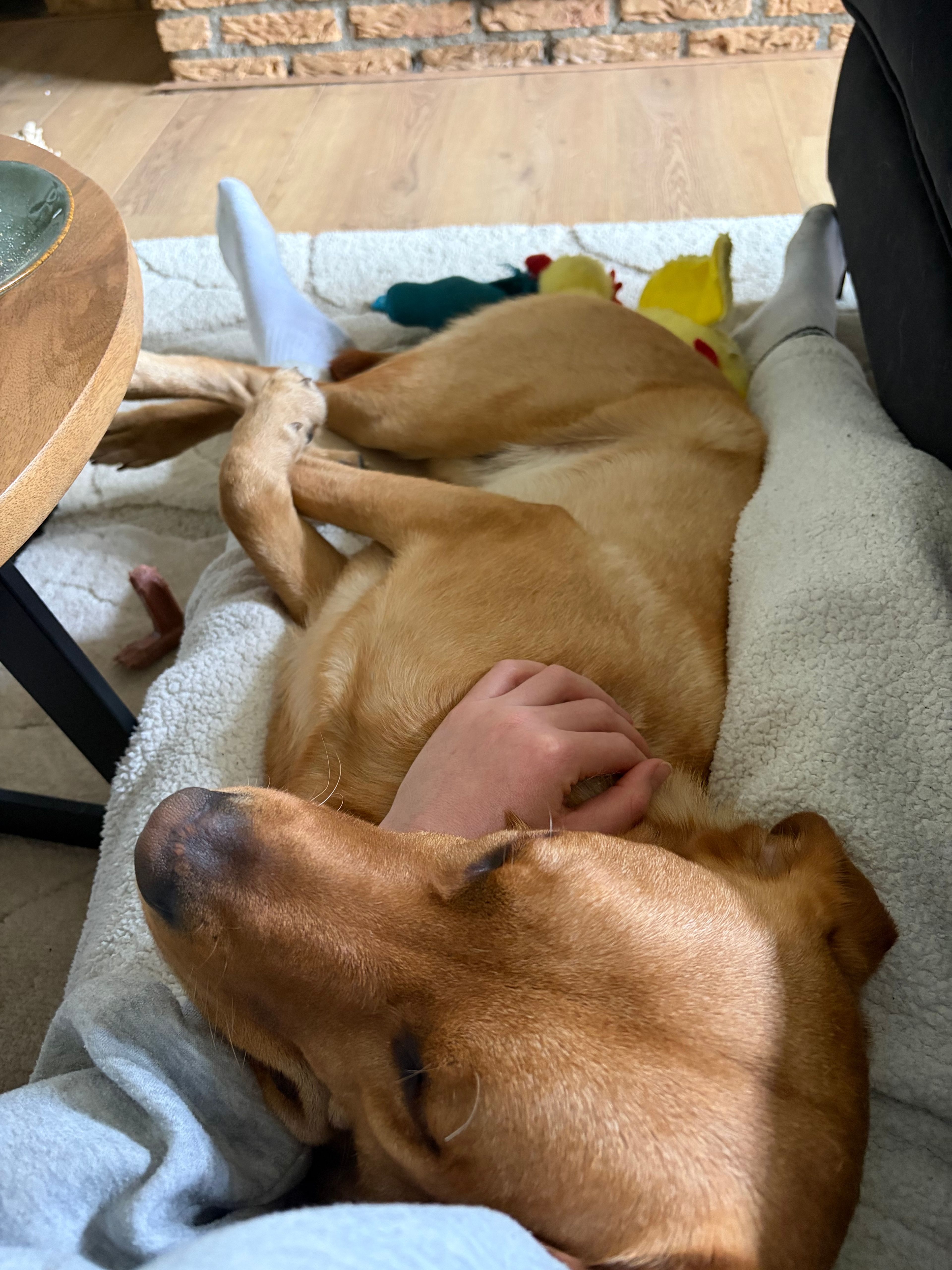 image-9