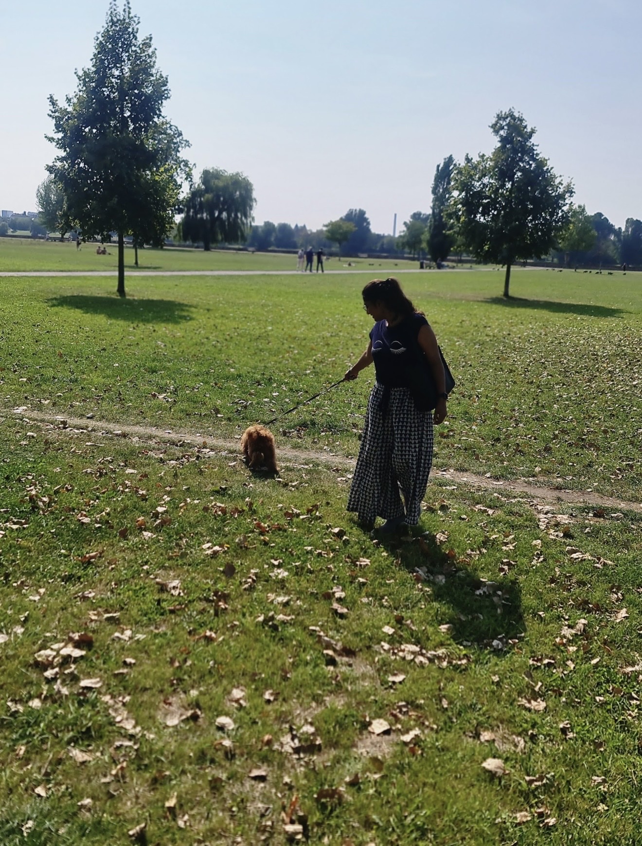 image-8