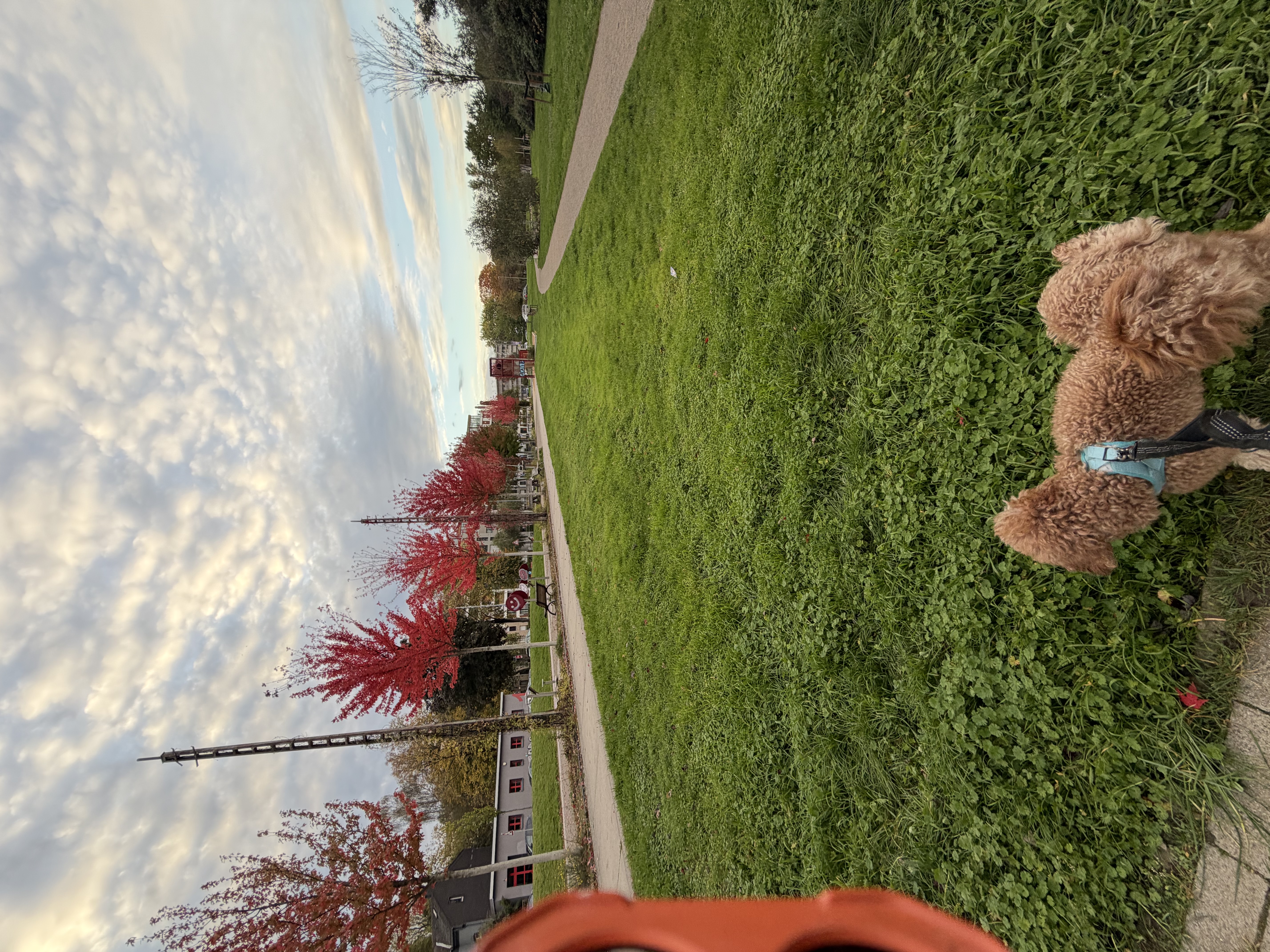 image-16