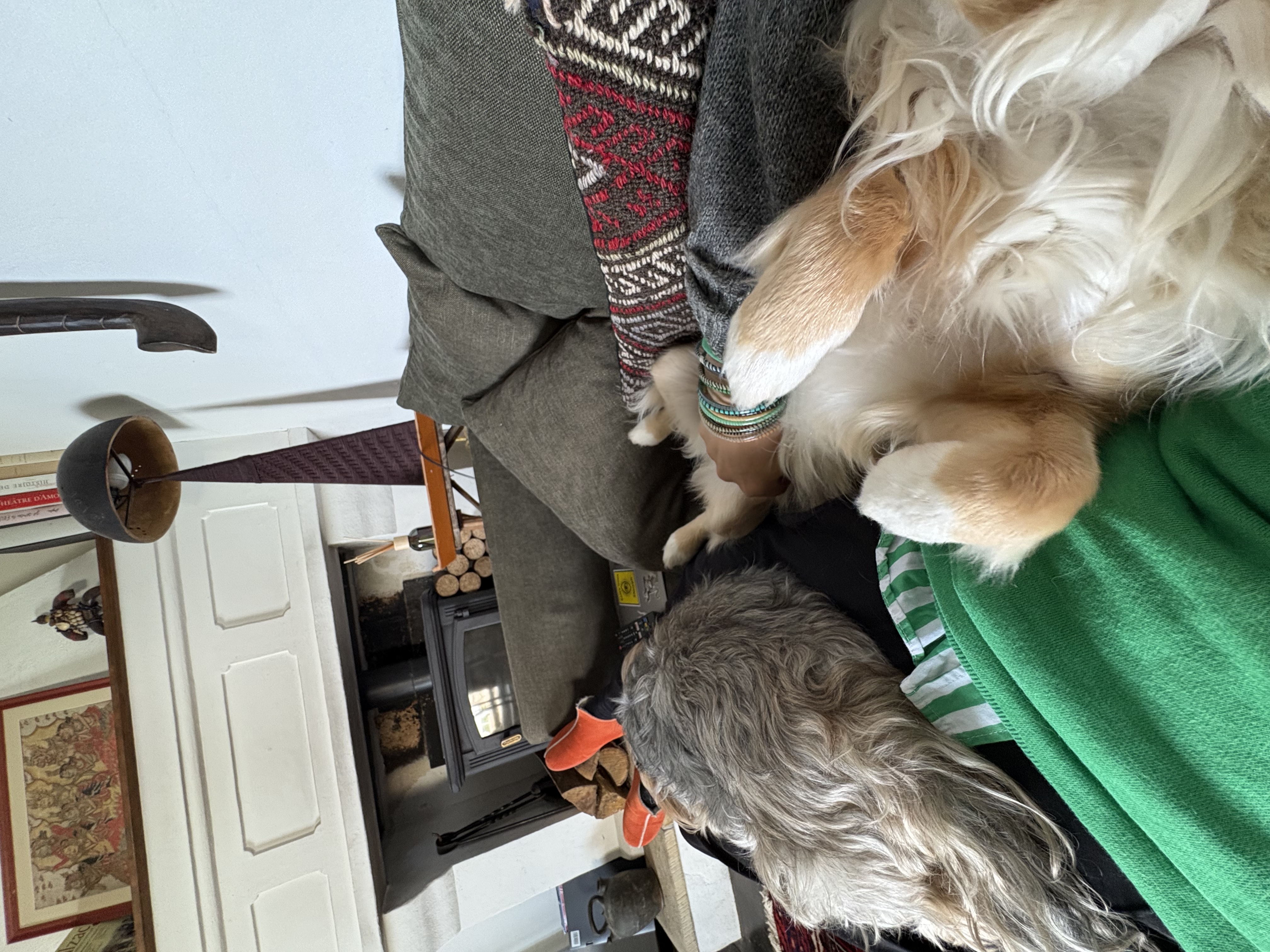 image-8
