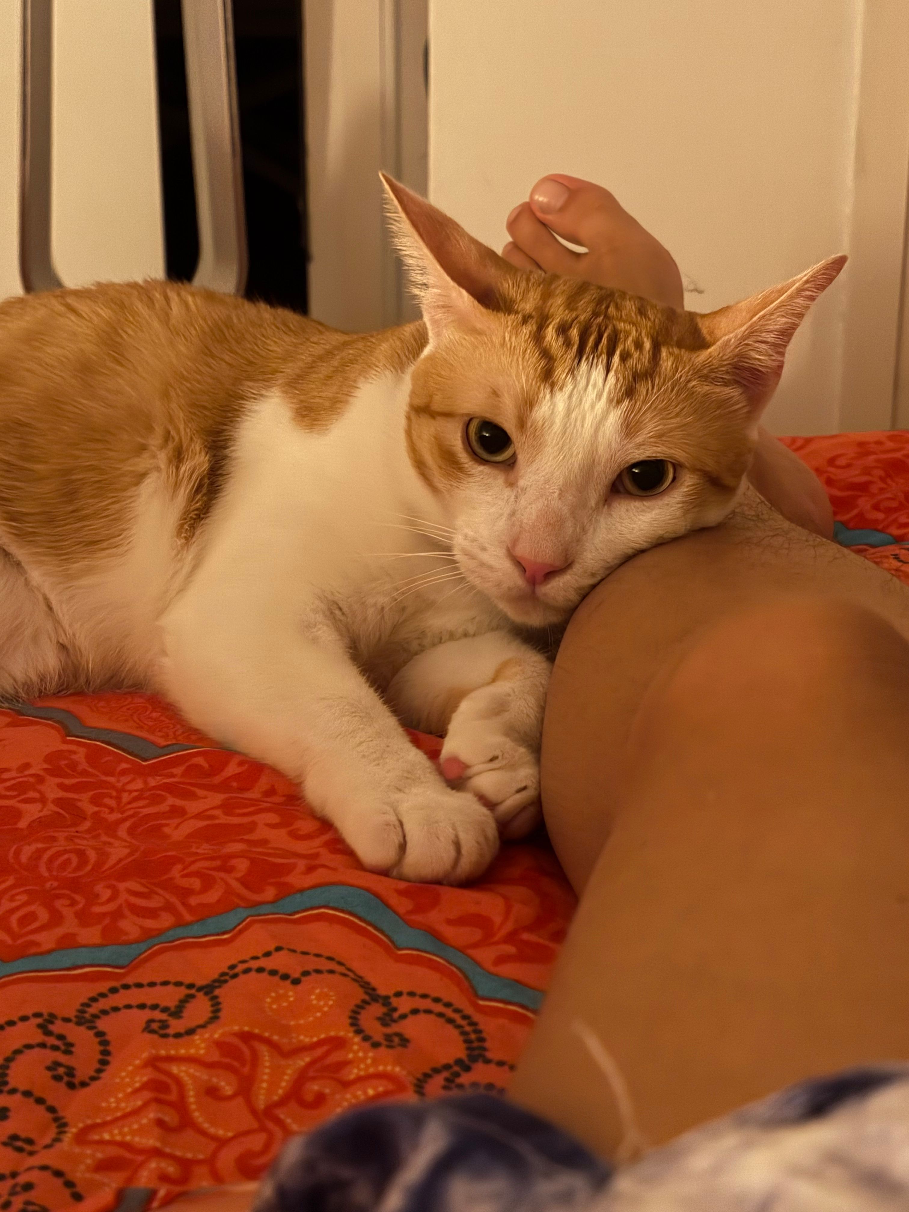 image-5
