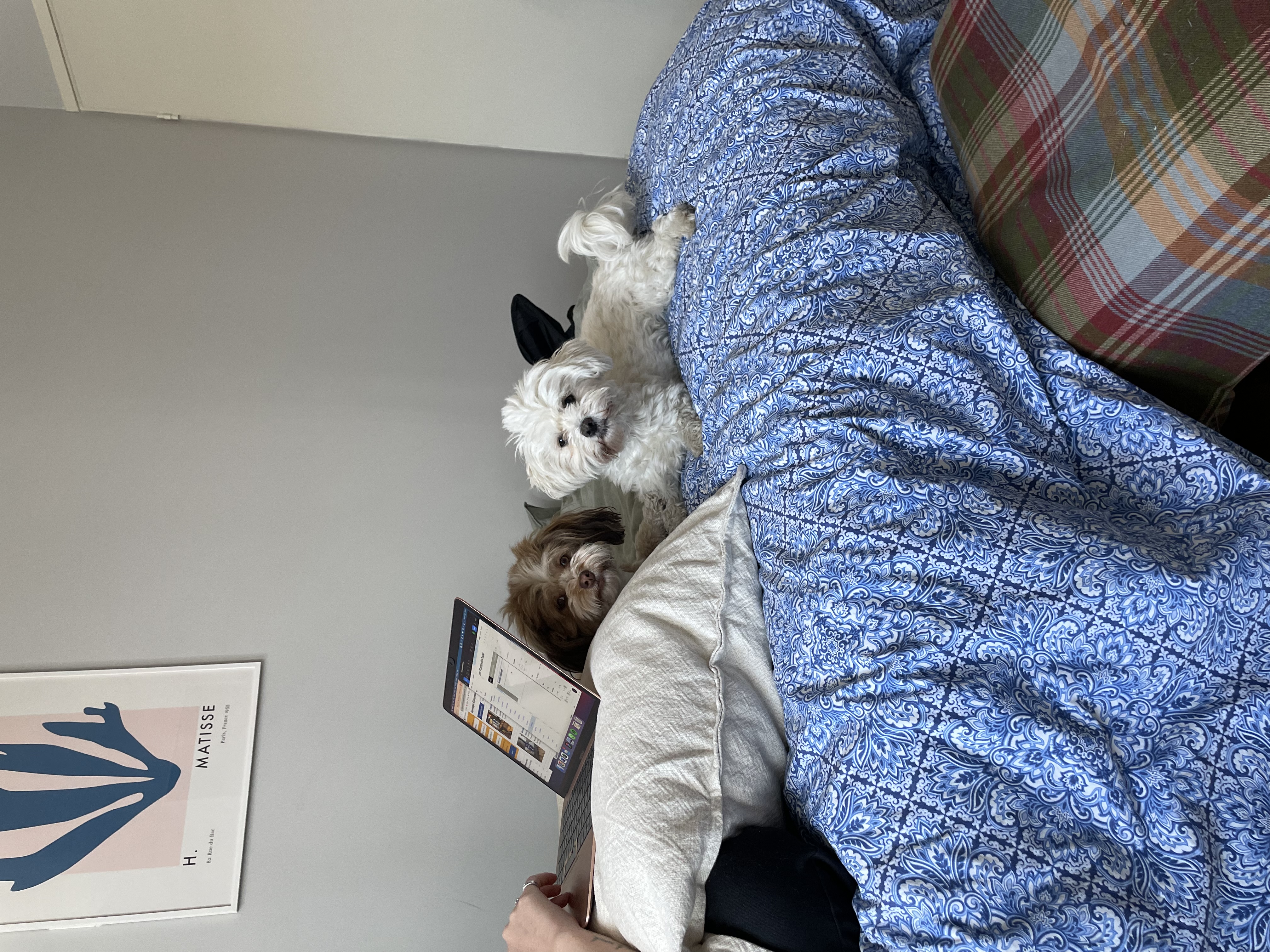 image-8