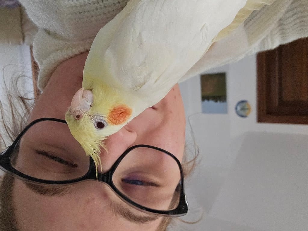 Stella