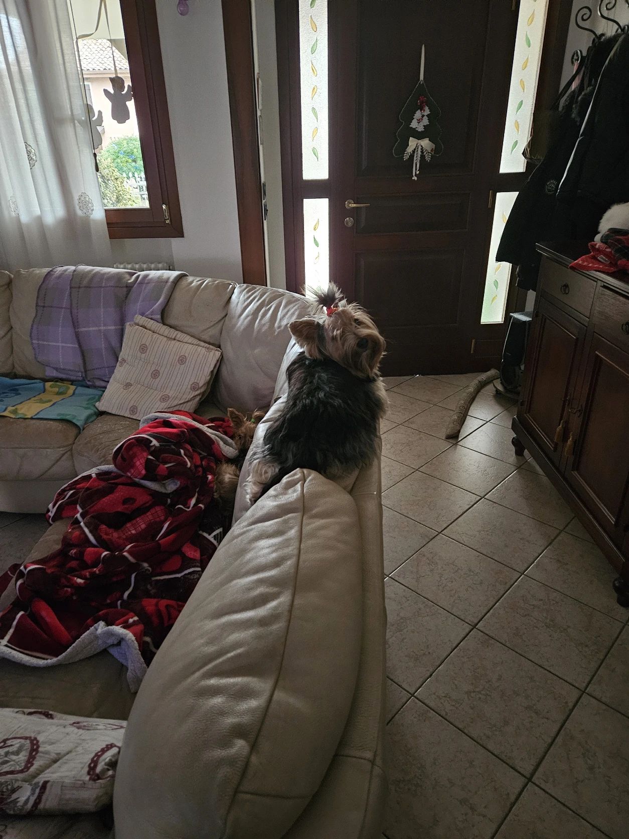 image-23