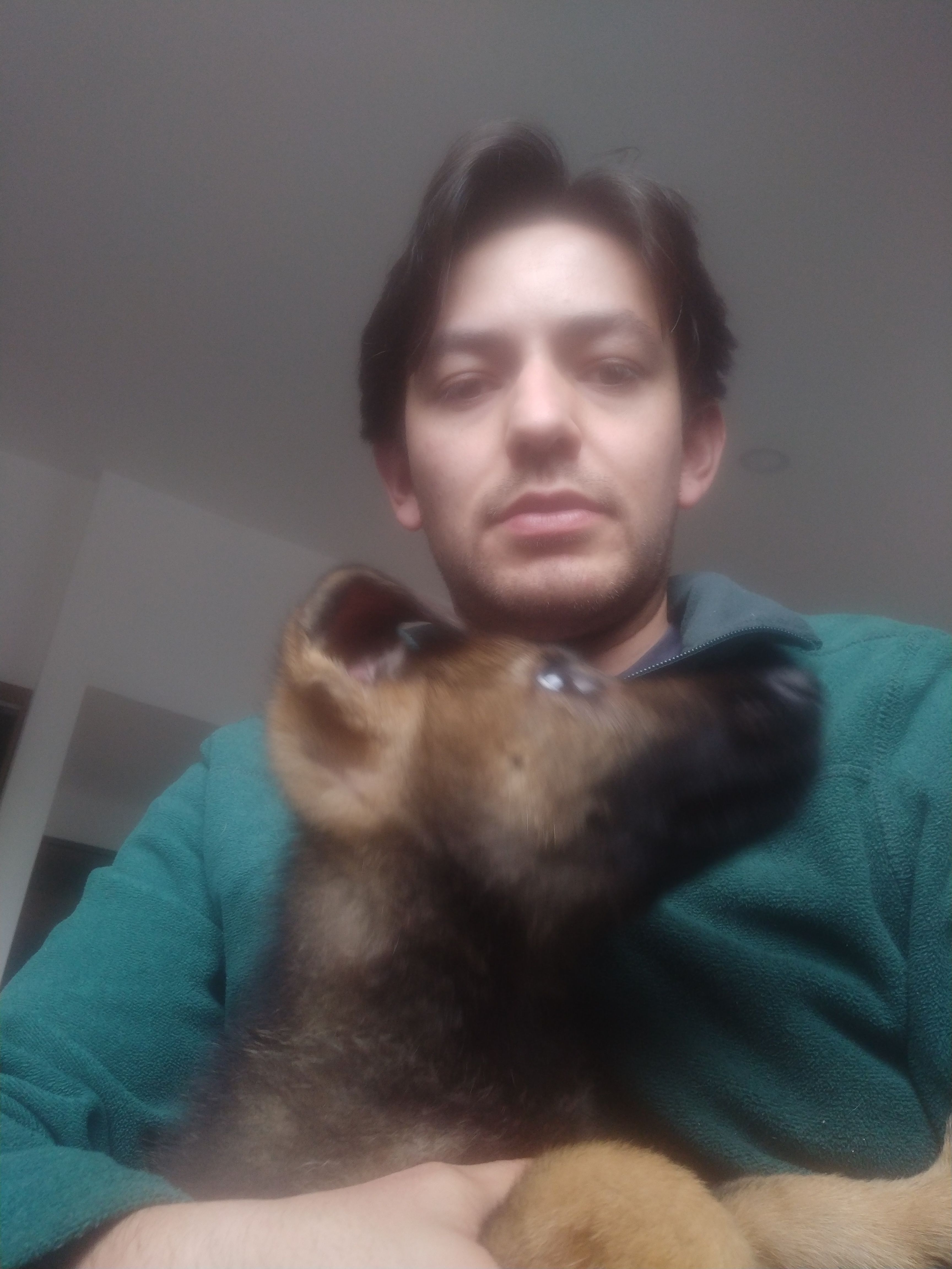 image-7