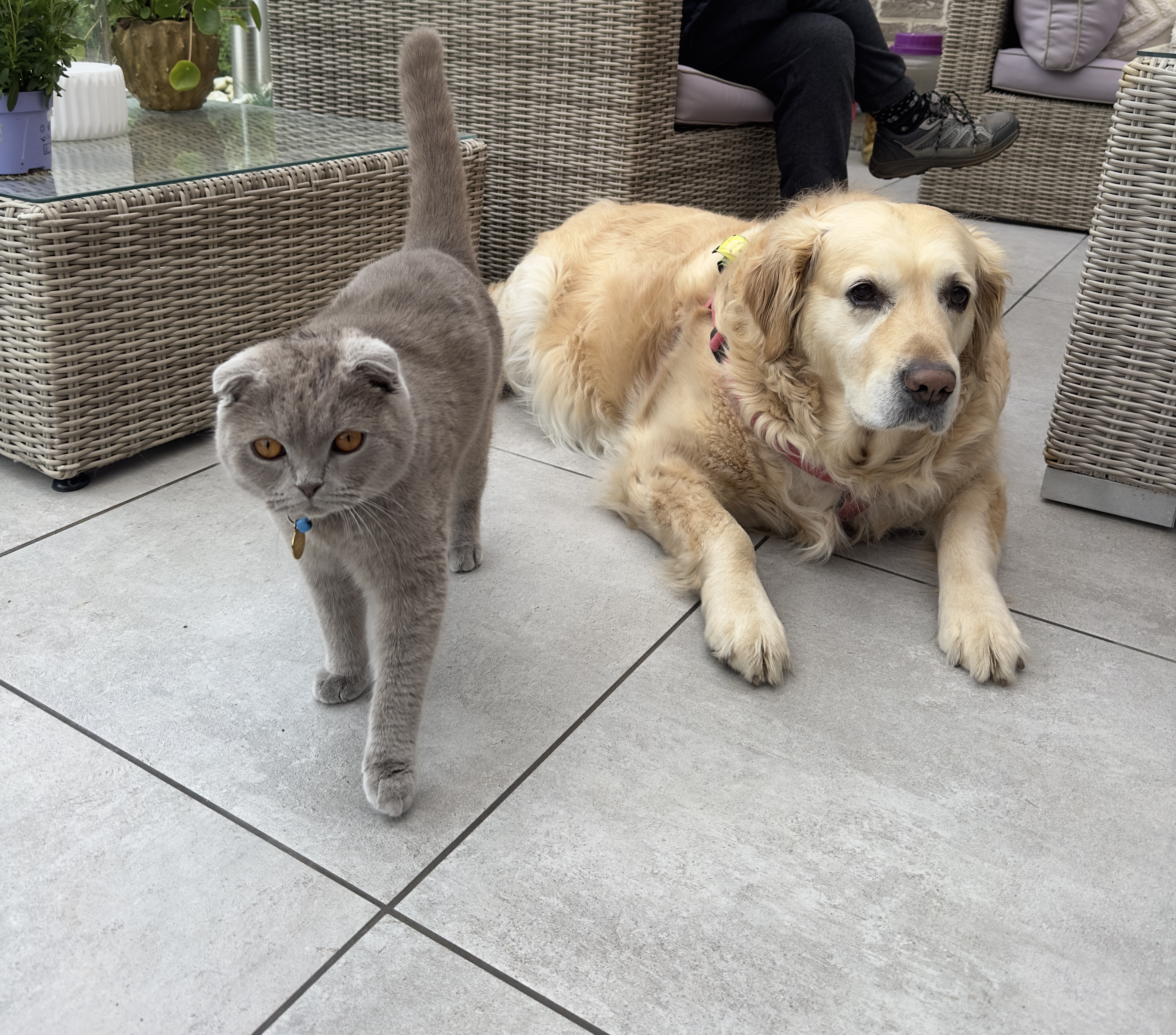 image-27