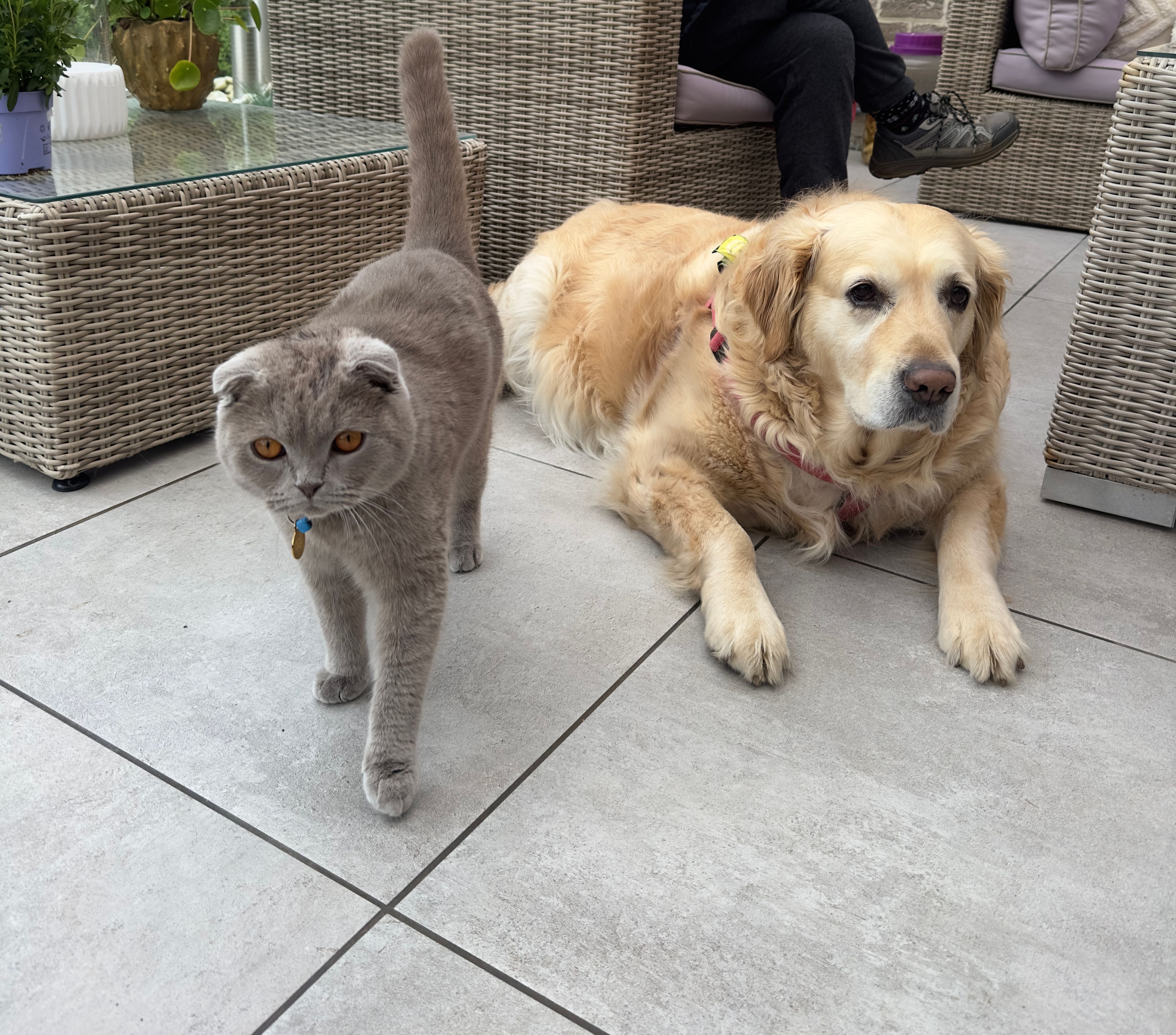 image-27