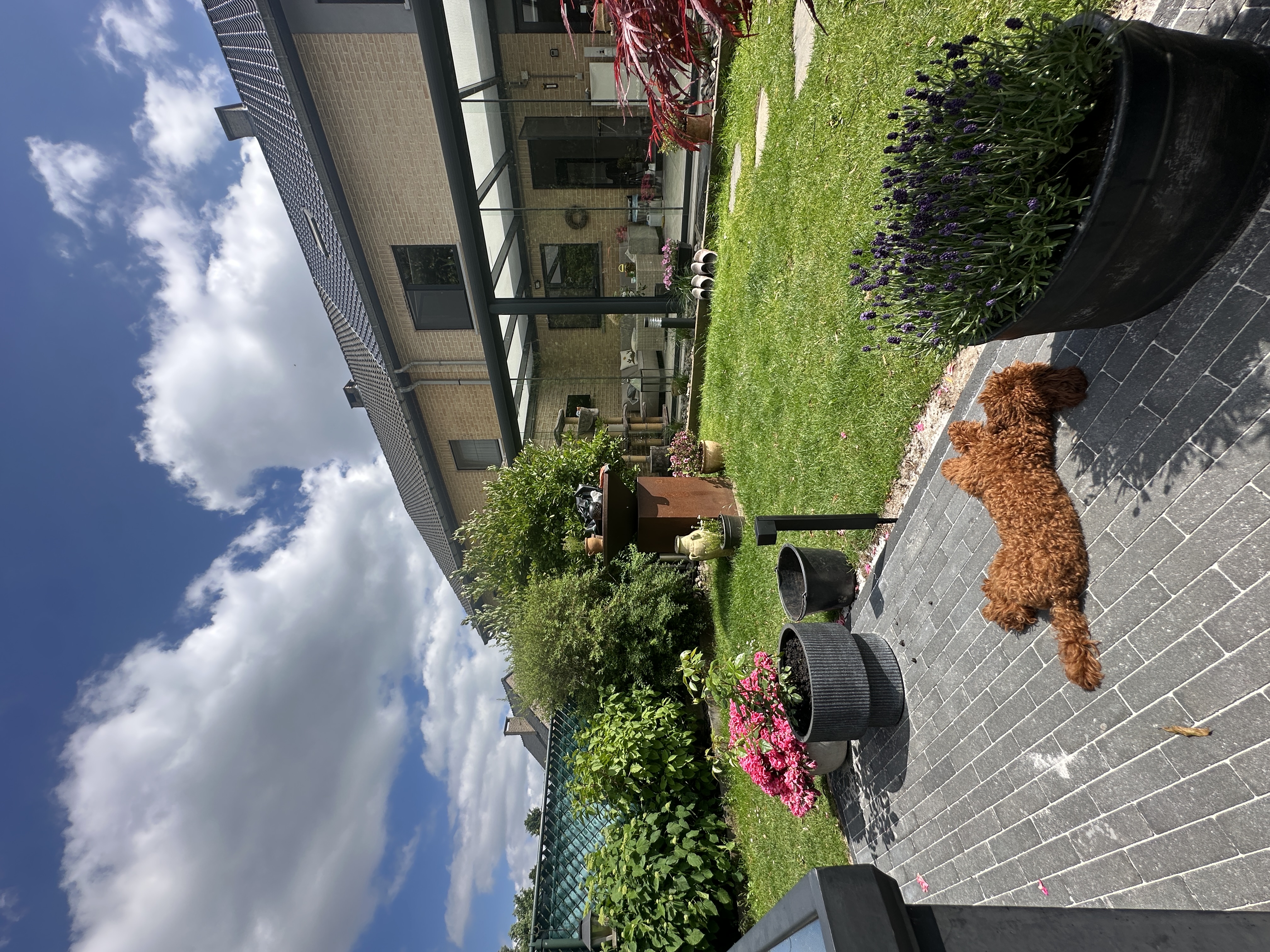 image-20