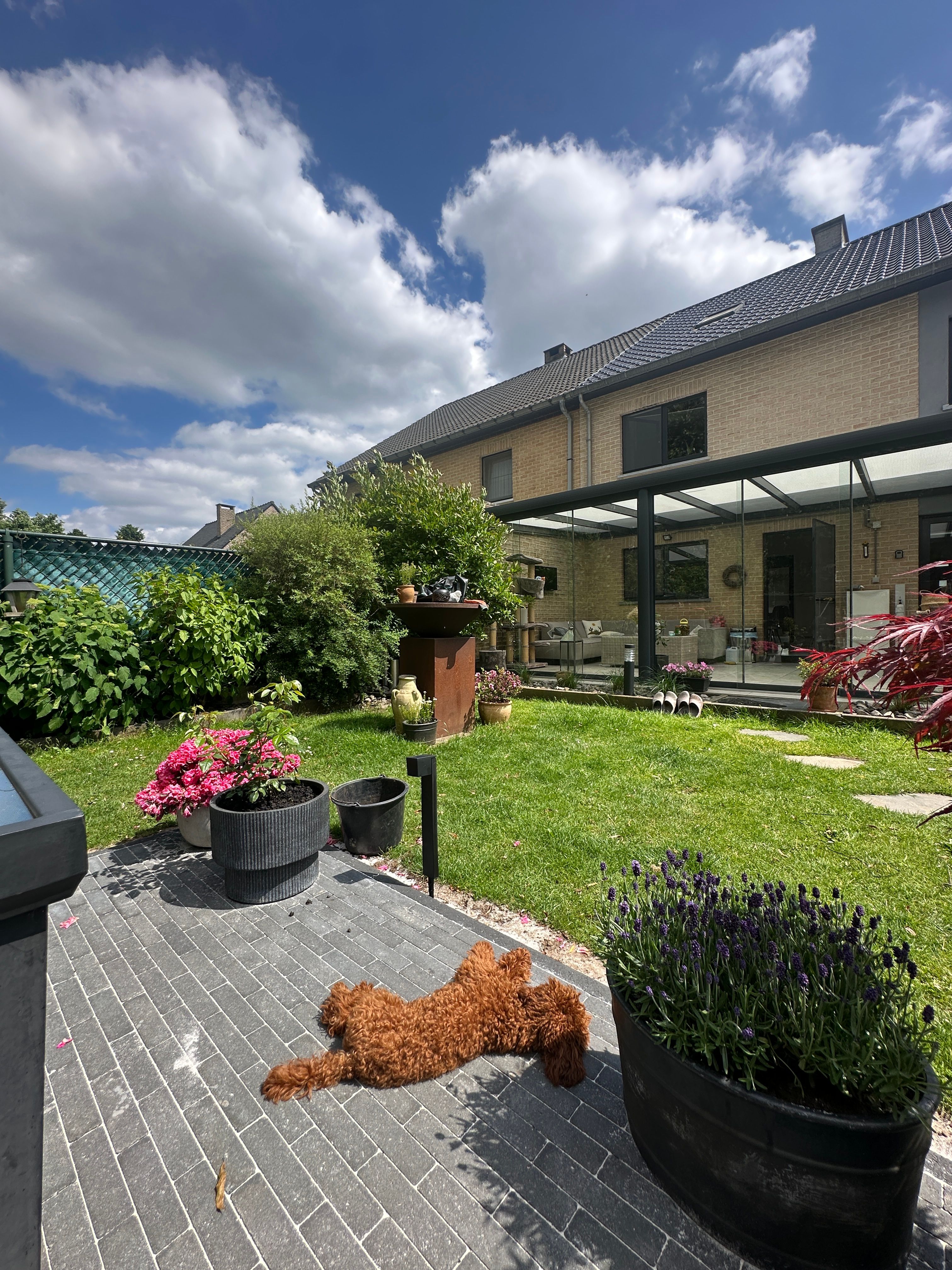 image-20