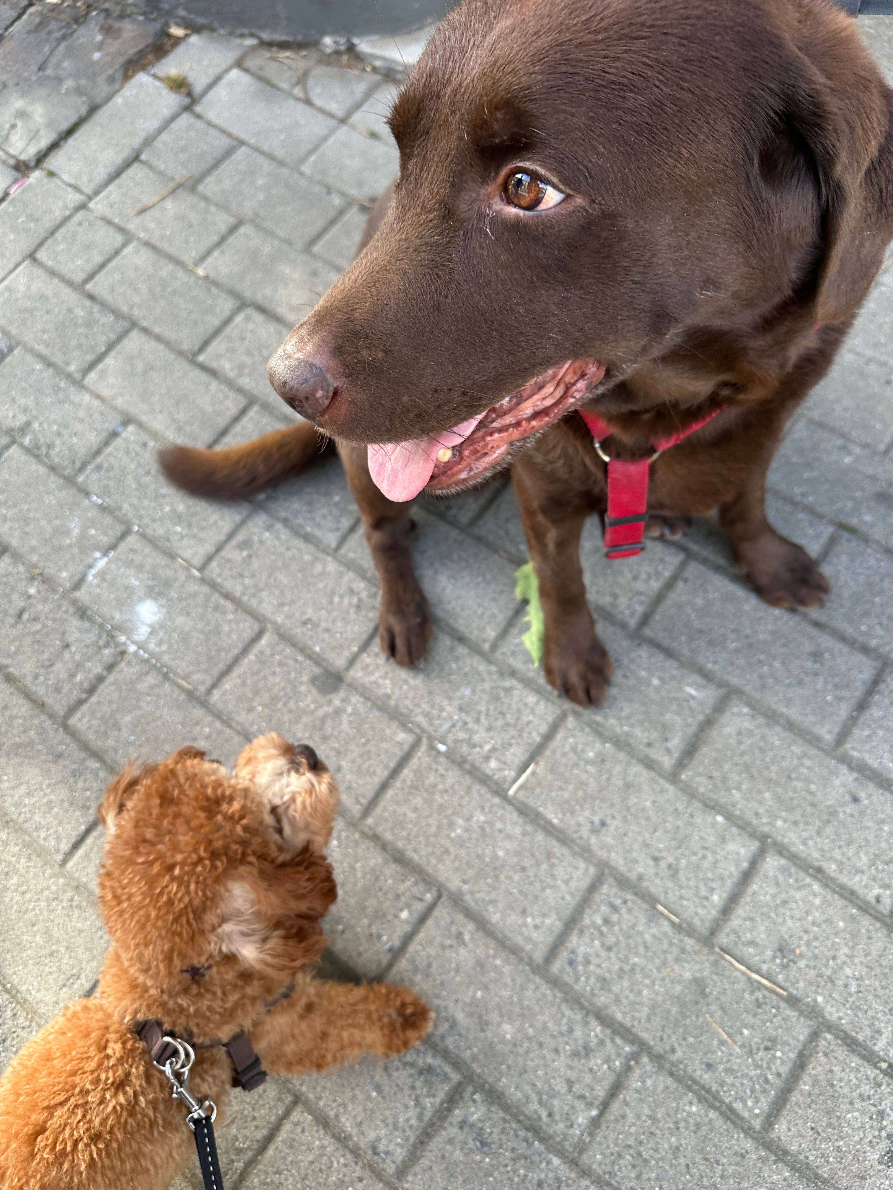 image-19