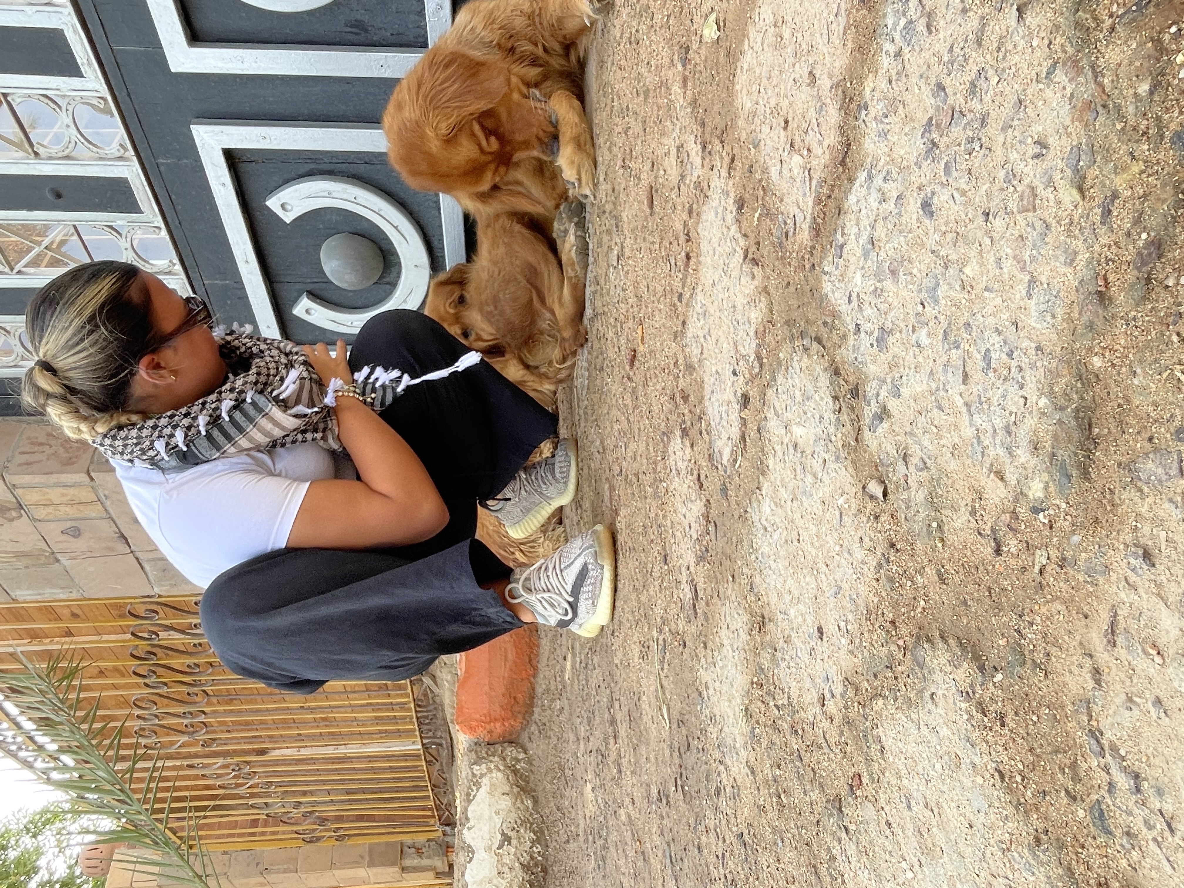 image-6