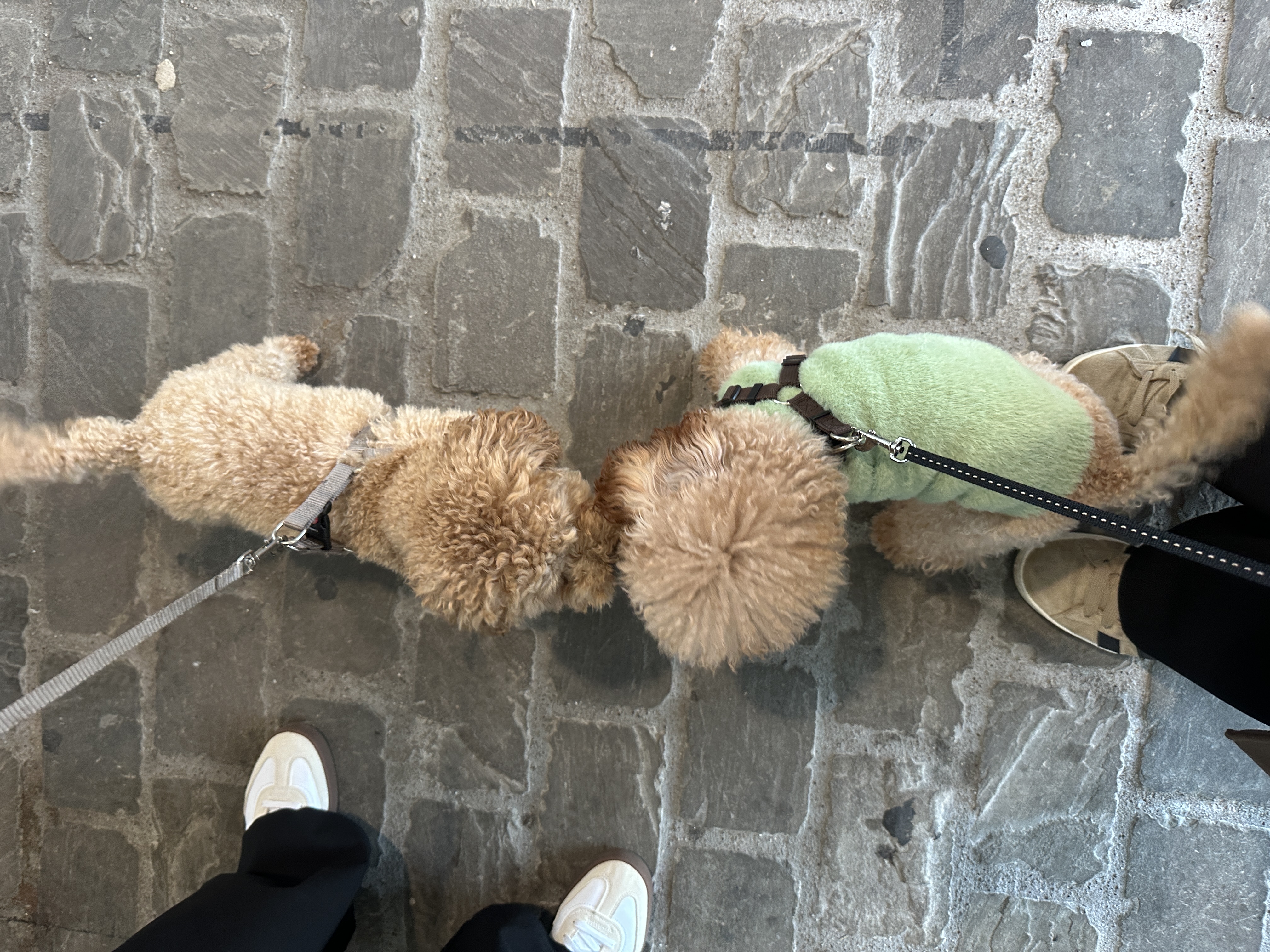 image-18