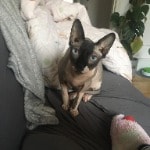 Billy