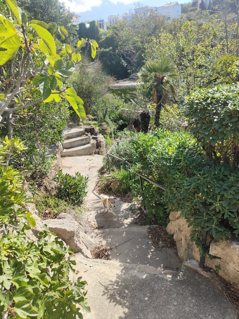 image-7