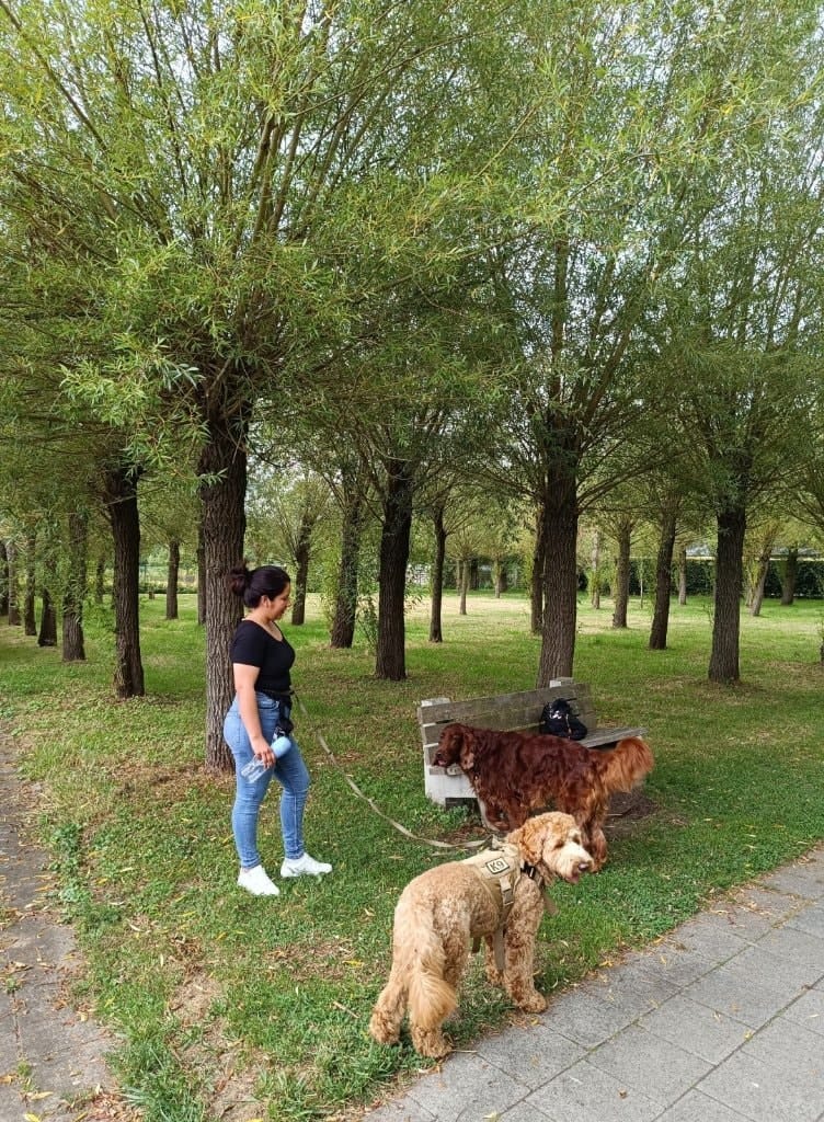 image-28