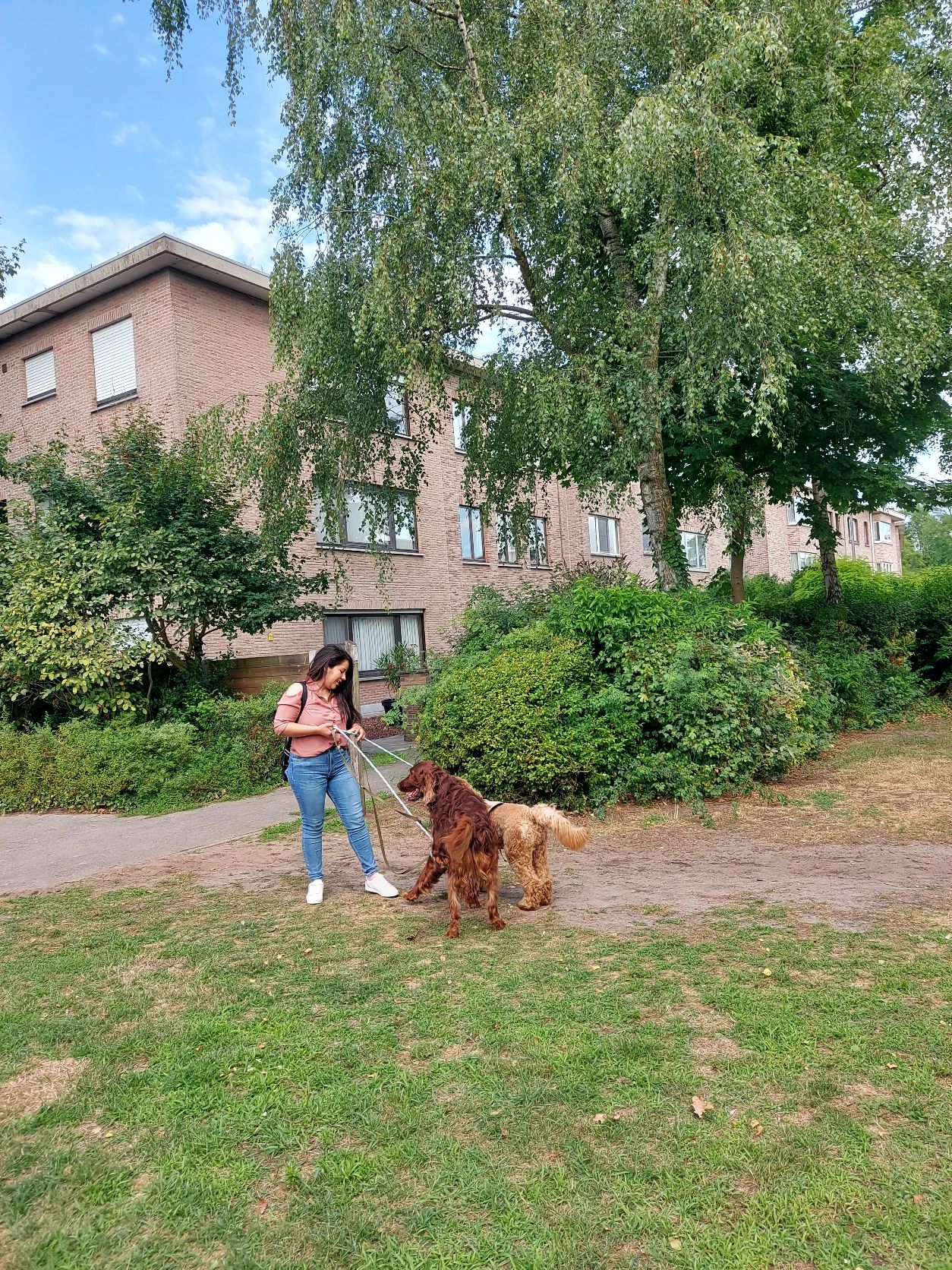 image-25