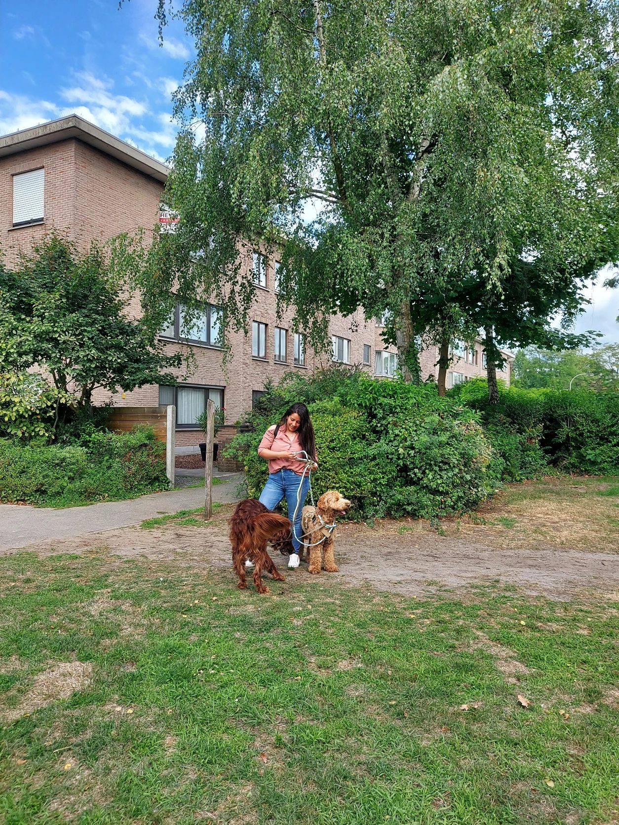 image-24
